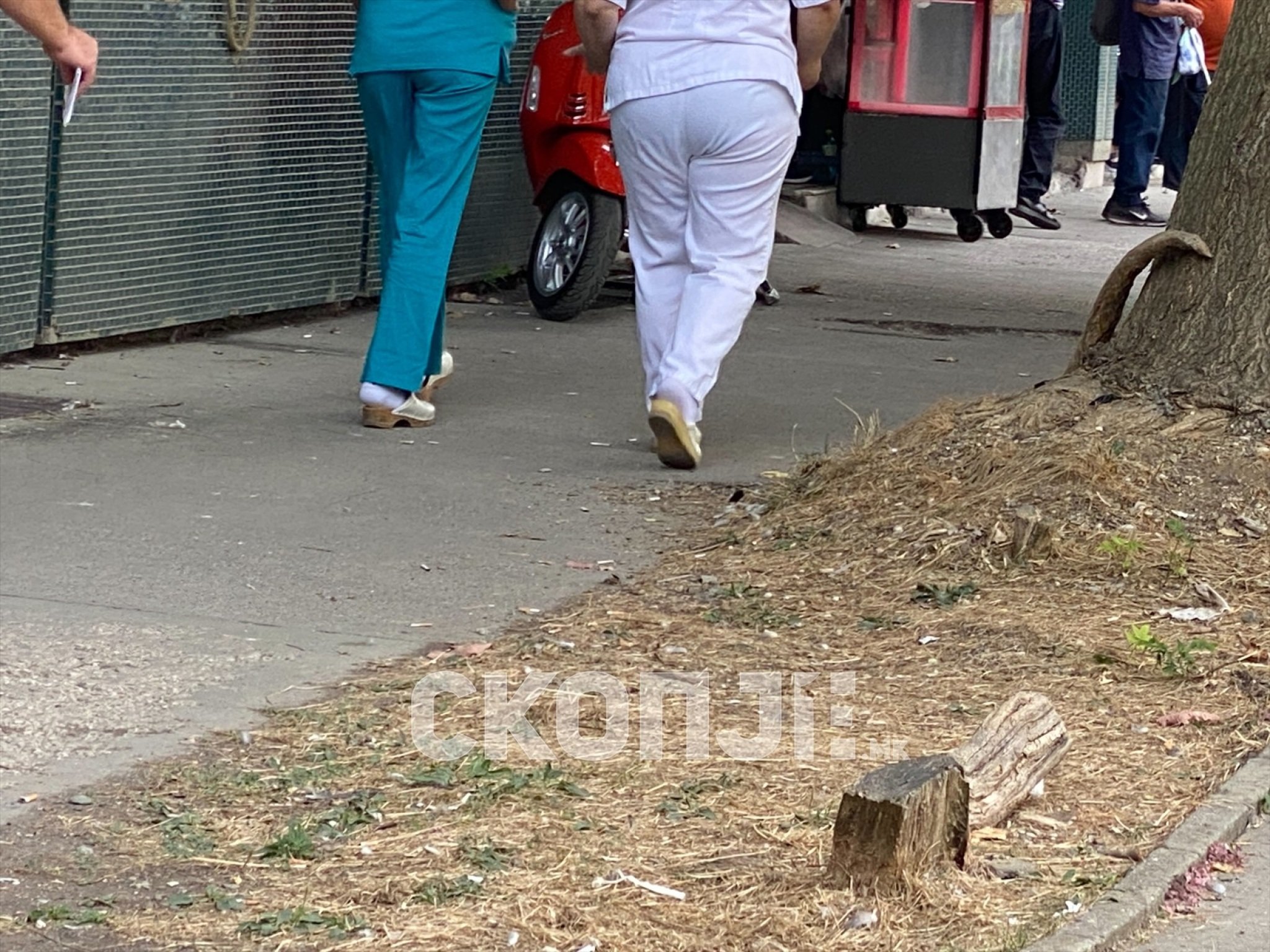 eZy-Watermark_01-10-2023_05-04-40-6620PM