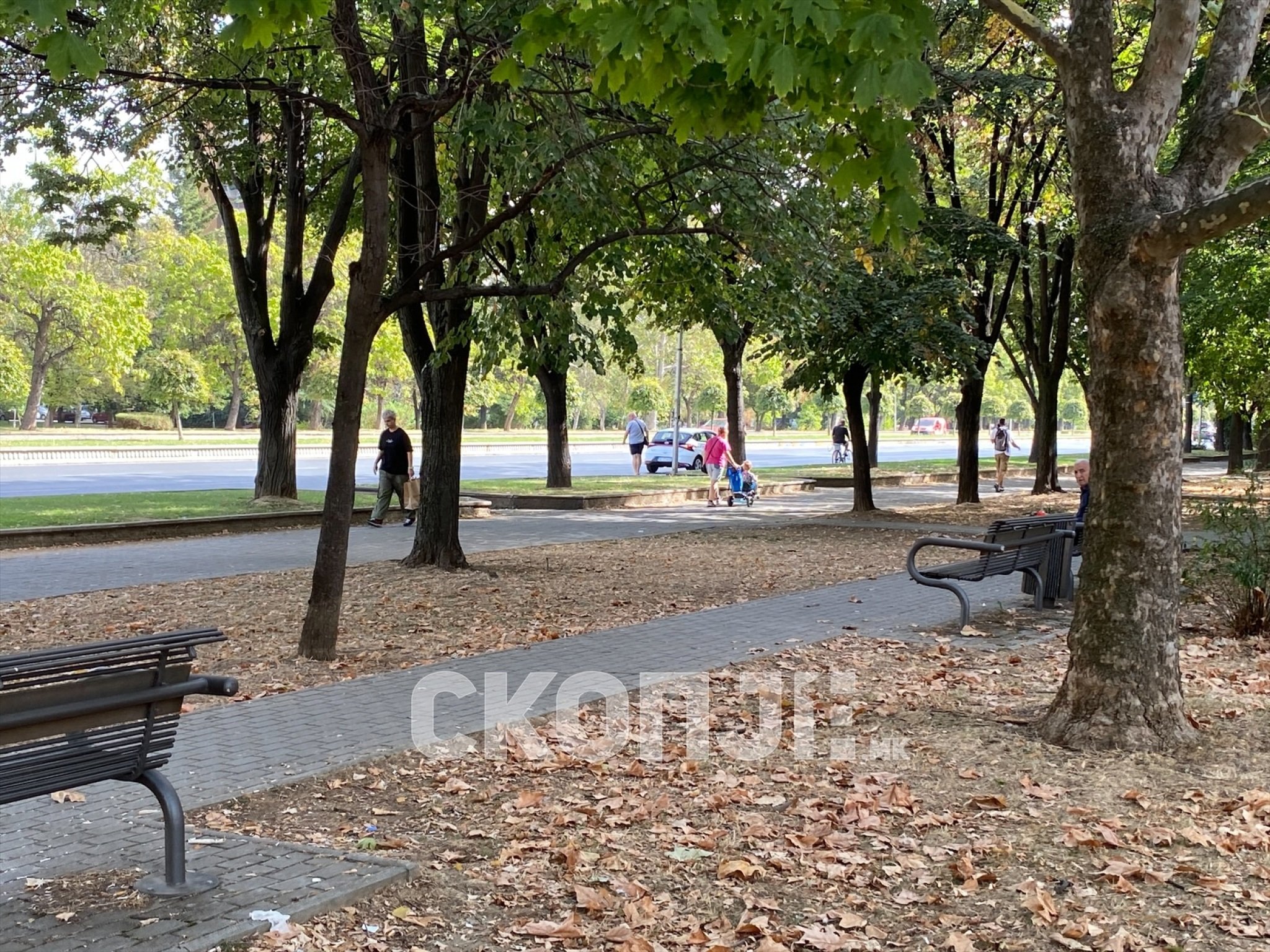 eZy-Watermark_01-10-2023_05-04-44-2130PM