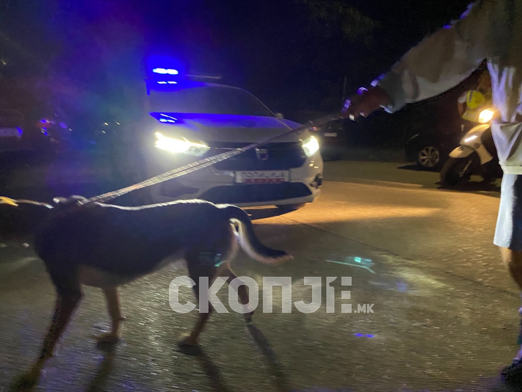 eZy-Watermark_26-08-2023_12-38-55-5960PM