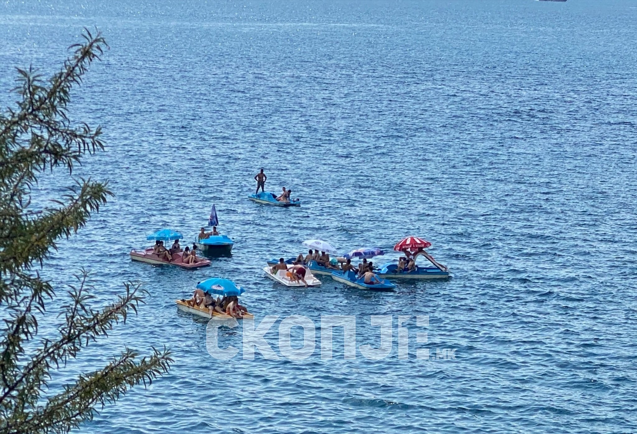 eZy-Watermark_26-08-2023_12-38-57-1100PM