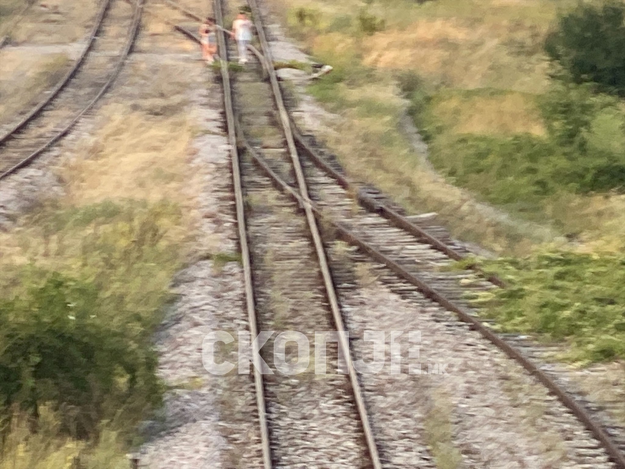 eZy-Watermark_26-08-2023_12-39-27-6260PM