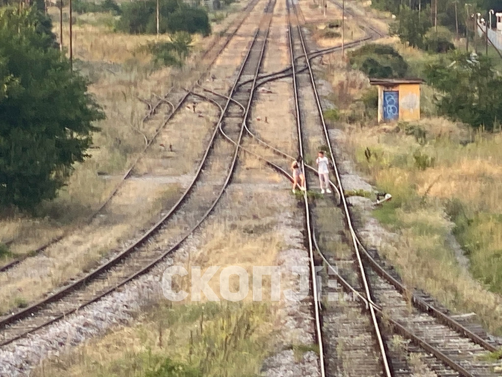 eZy-Watermark_26-08-2023_12-39-27-8620PM