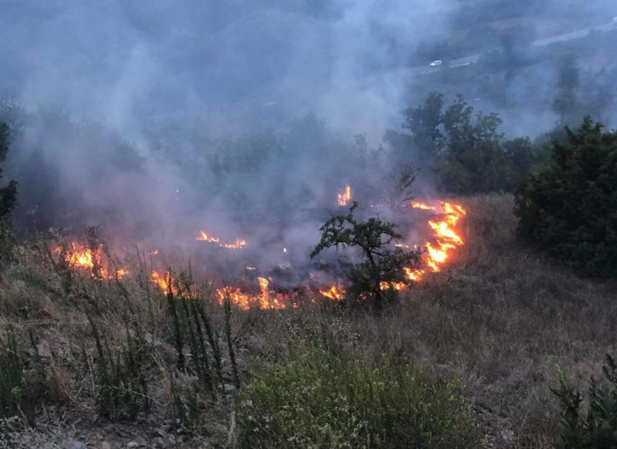 Screenshot-2023-08-24-at-09.15.41