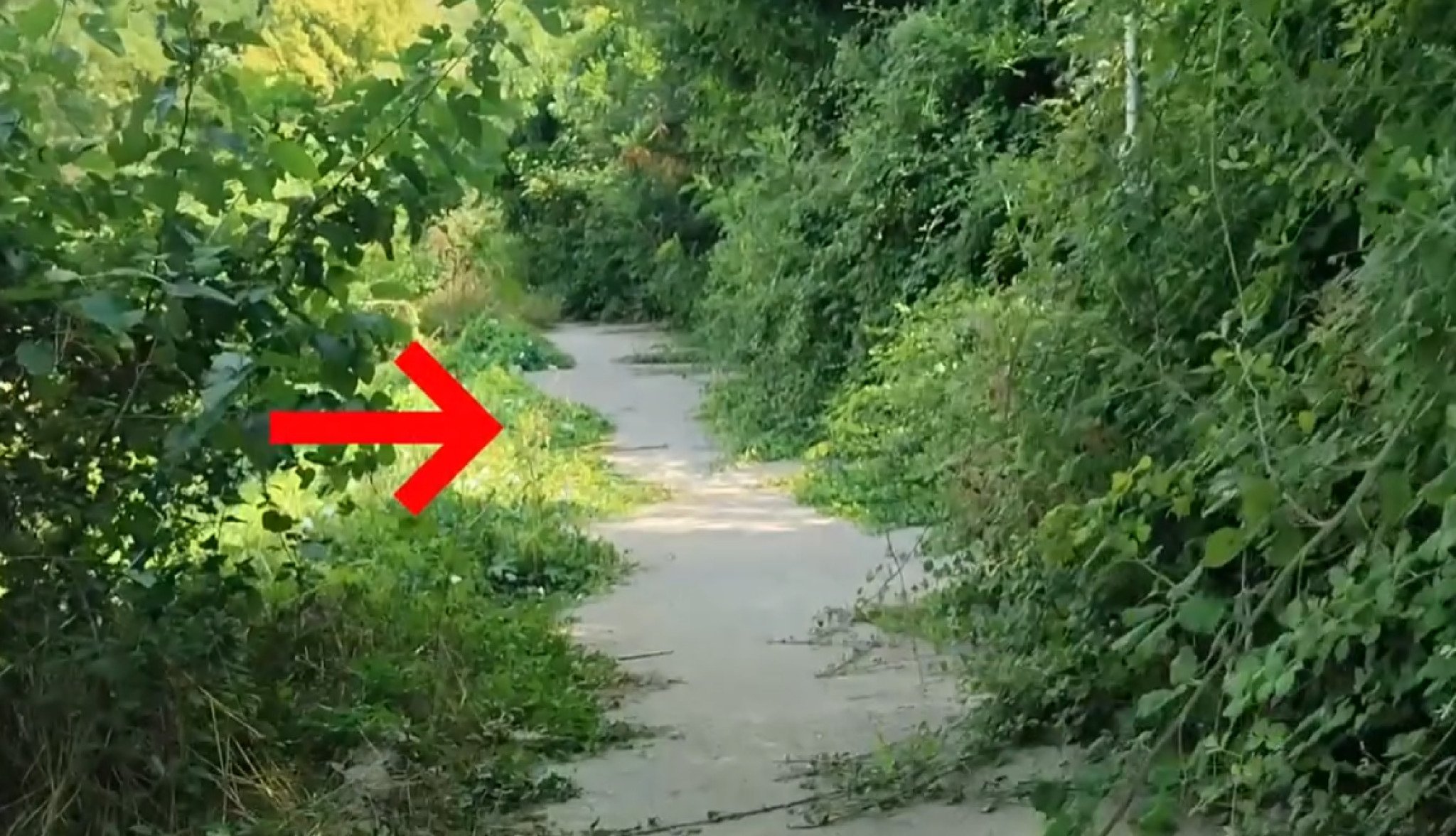 Screenshot-2023-08-16-113019