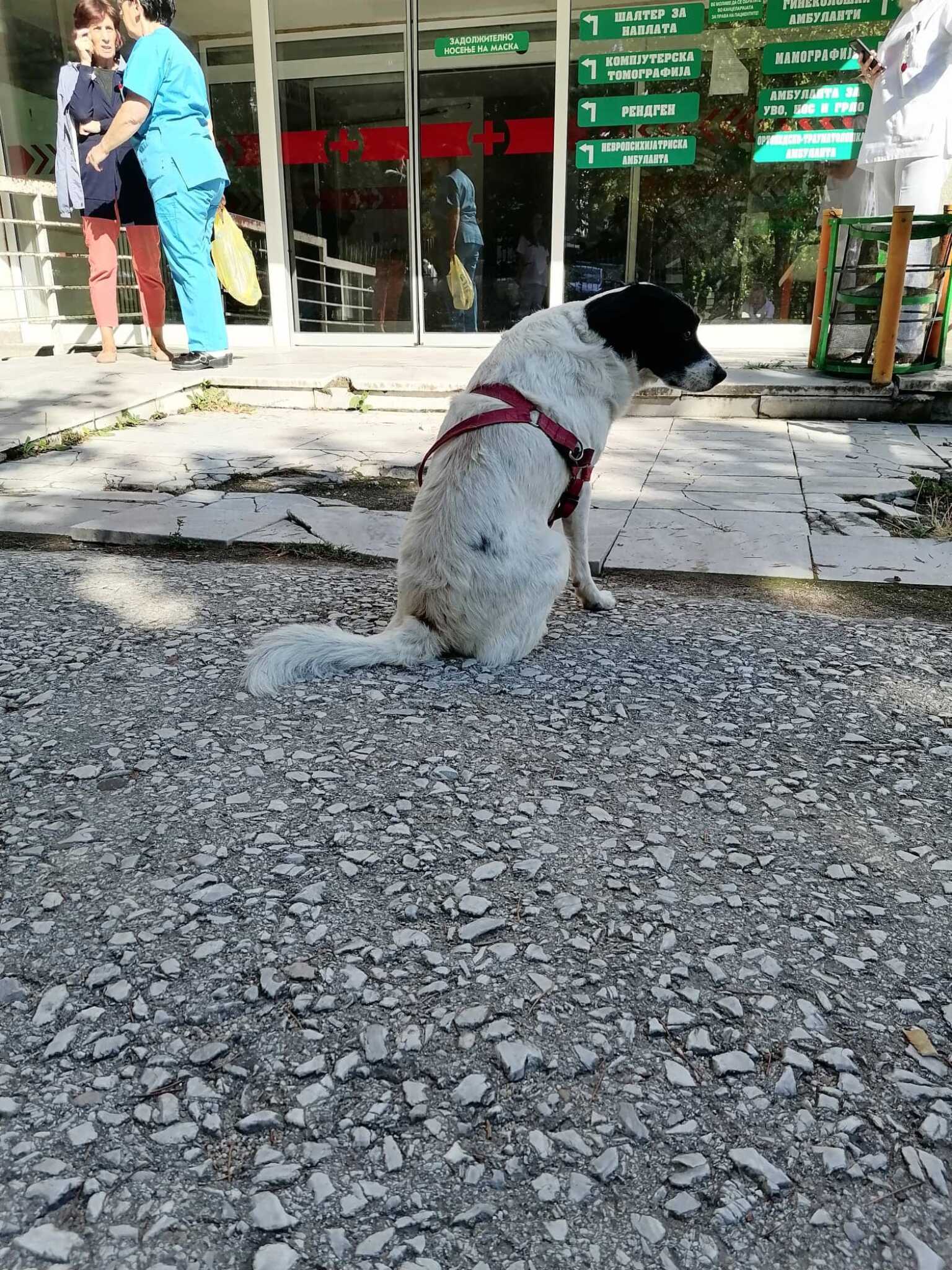 366742213_621788976689095_7503184062032785488_n