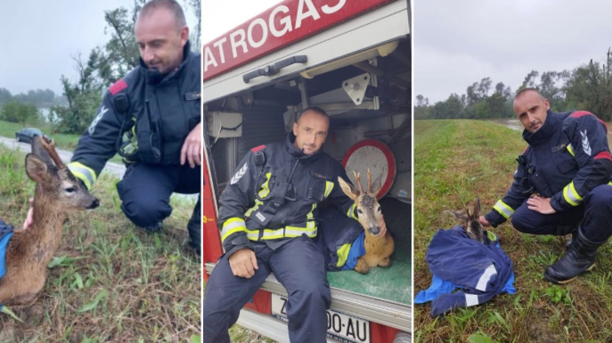 Screenshot-2023-08-07-123305