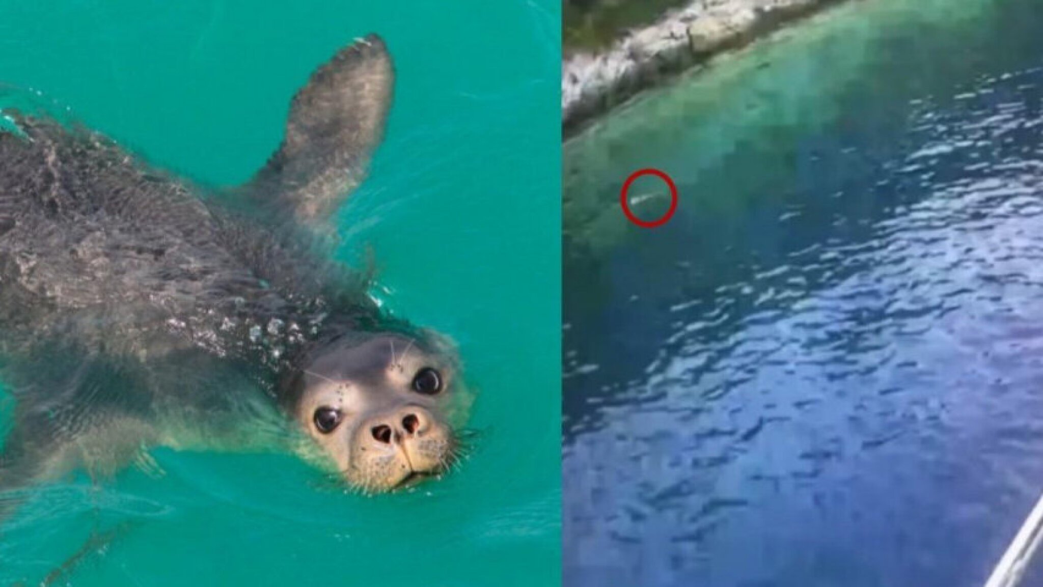 Capture-e1690983890413