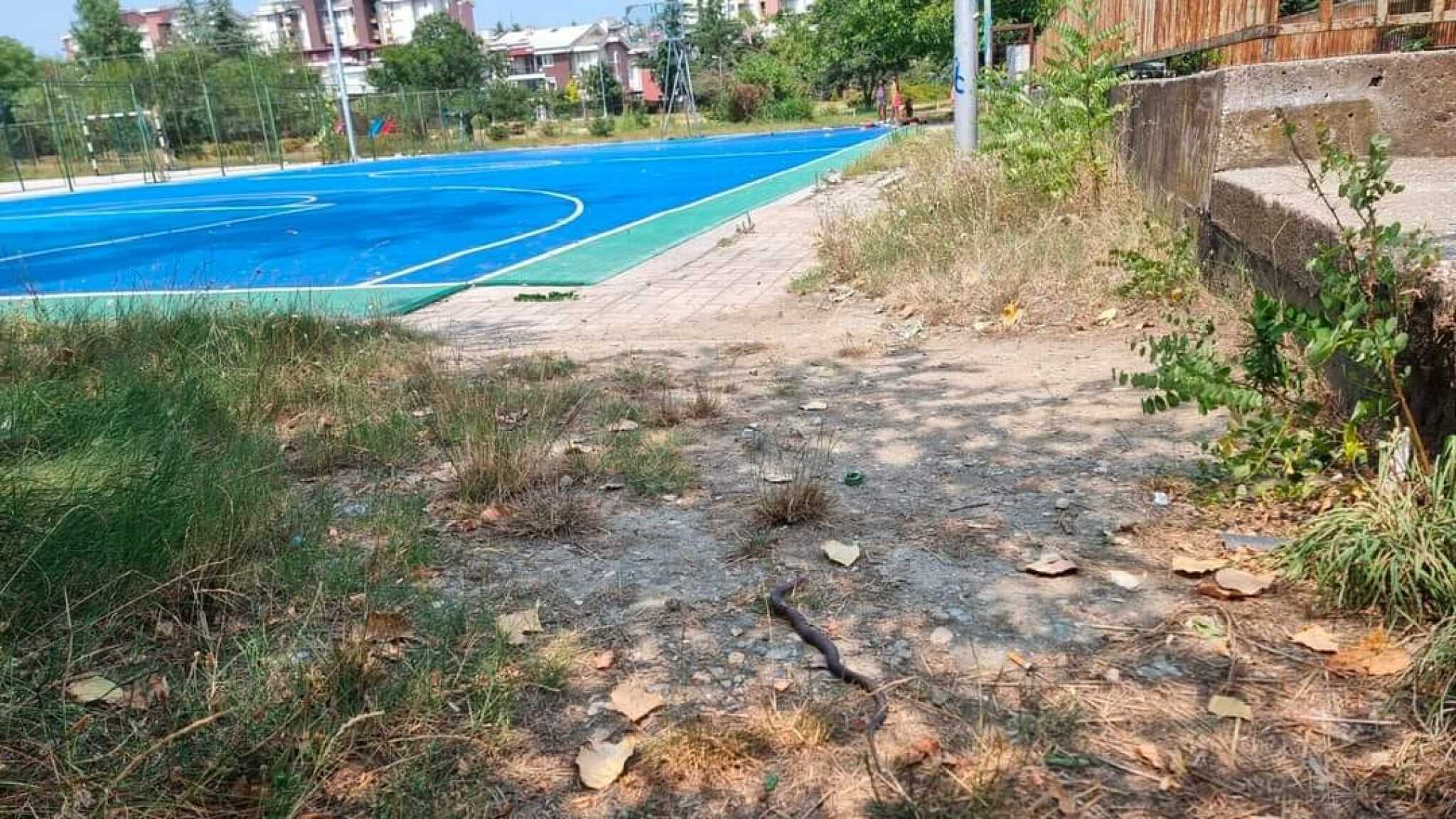 361957025_669769151851490_4755744494835687994_n