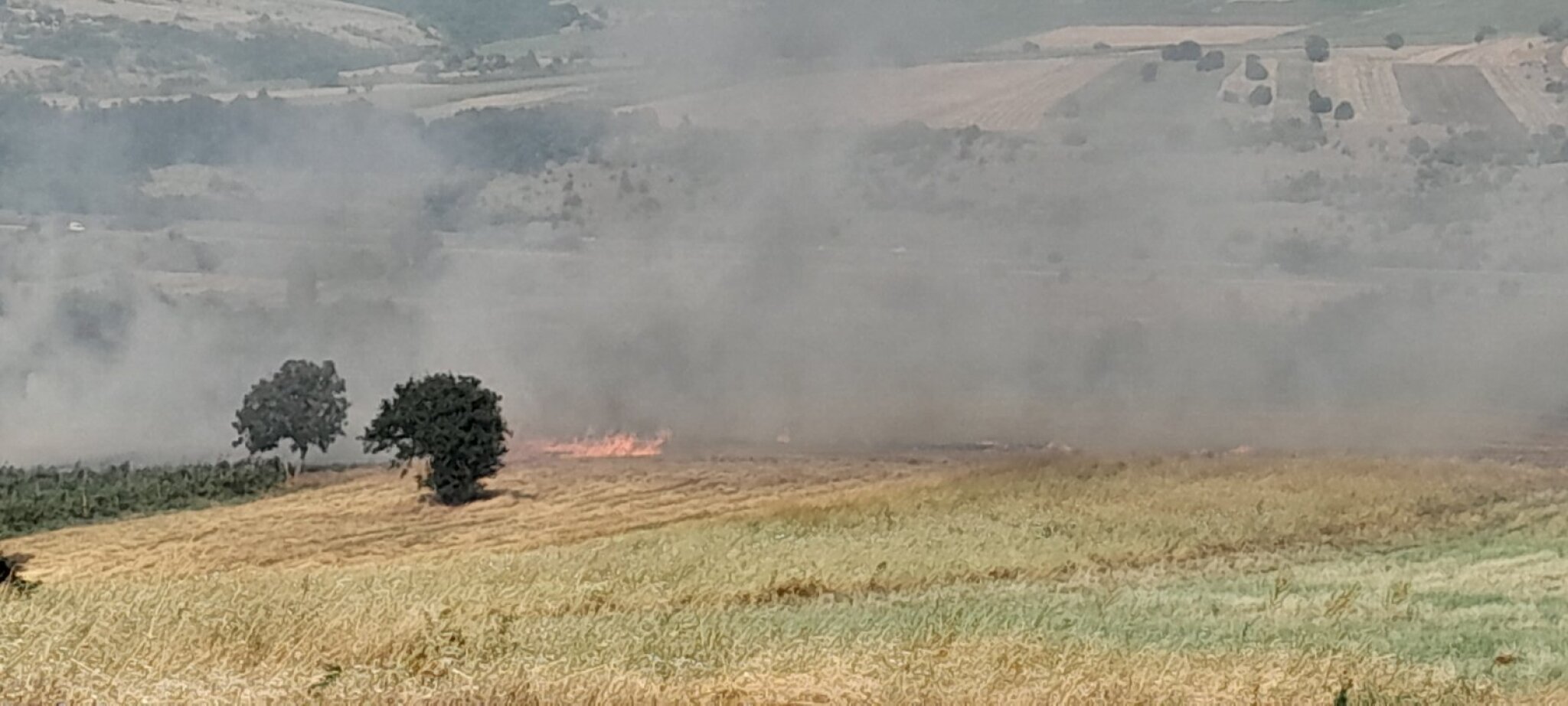 viber_image_2023-07-20_17-10-43-726