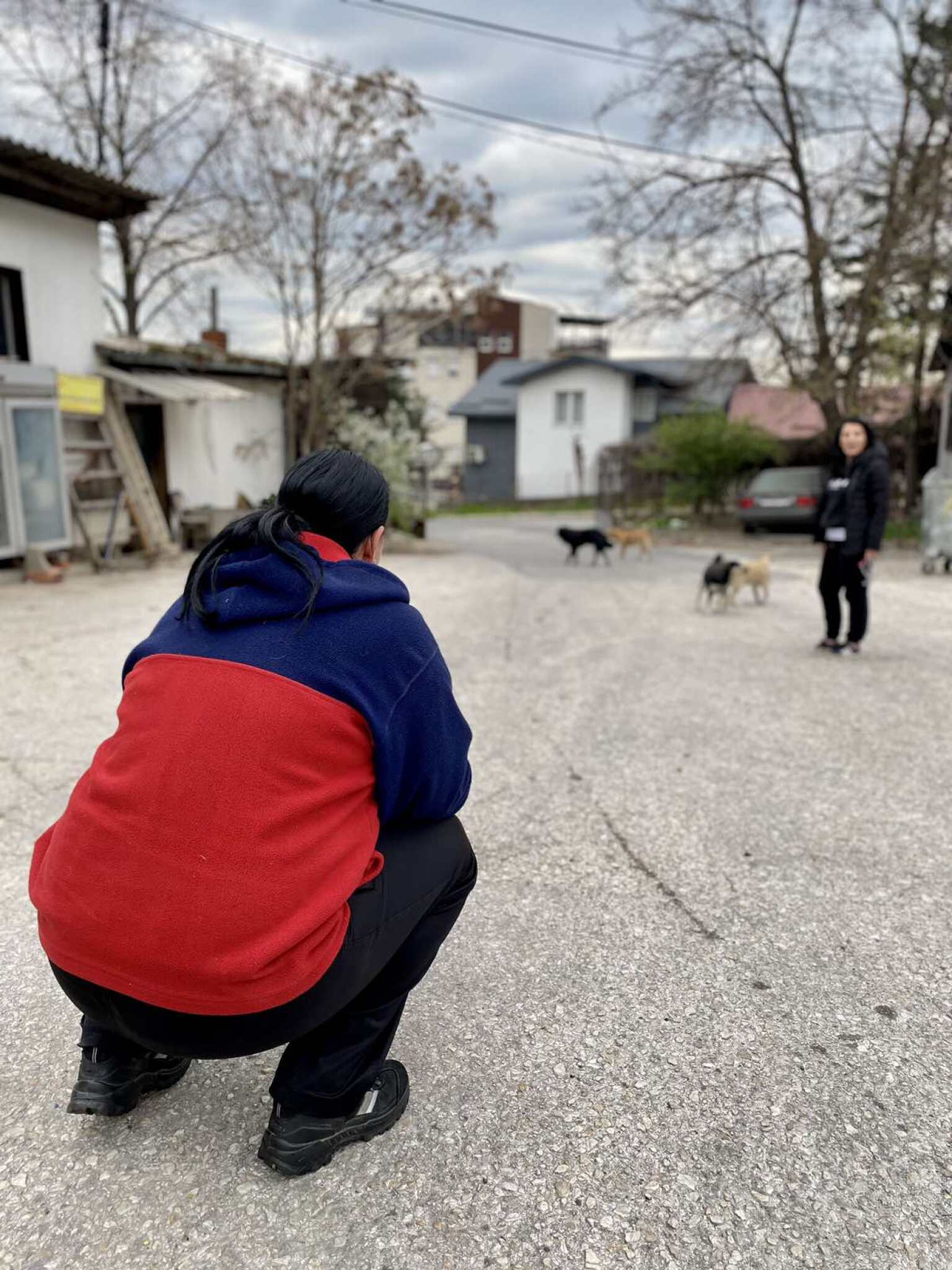 viber_image_2023-04-03_14-12-00-251