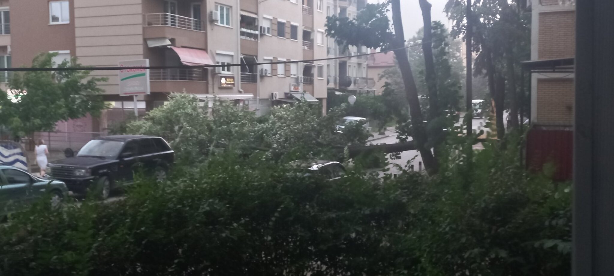 viber_image_2023-07-01_15-42-51-786