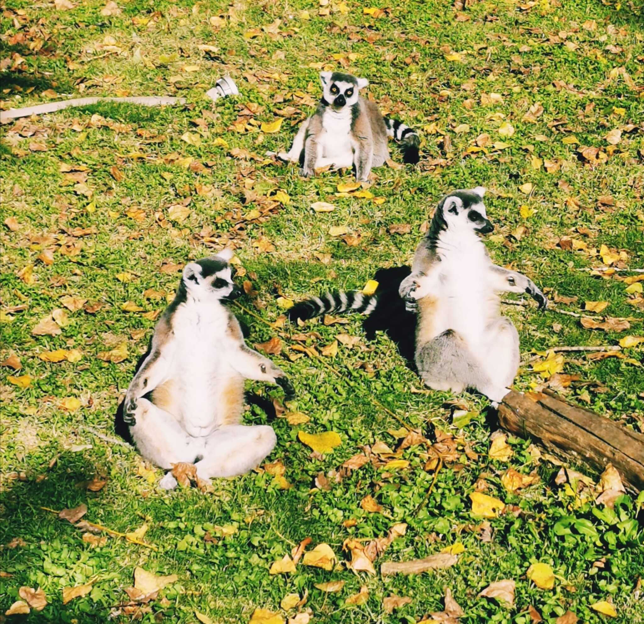 355462099_638442344985103_5461936012076554178_n