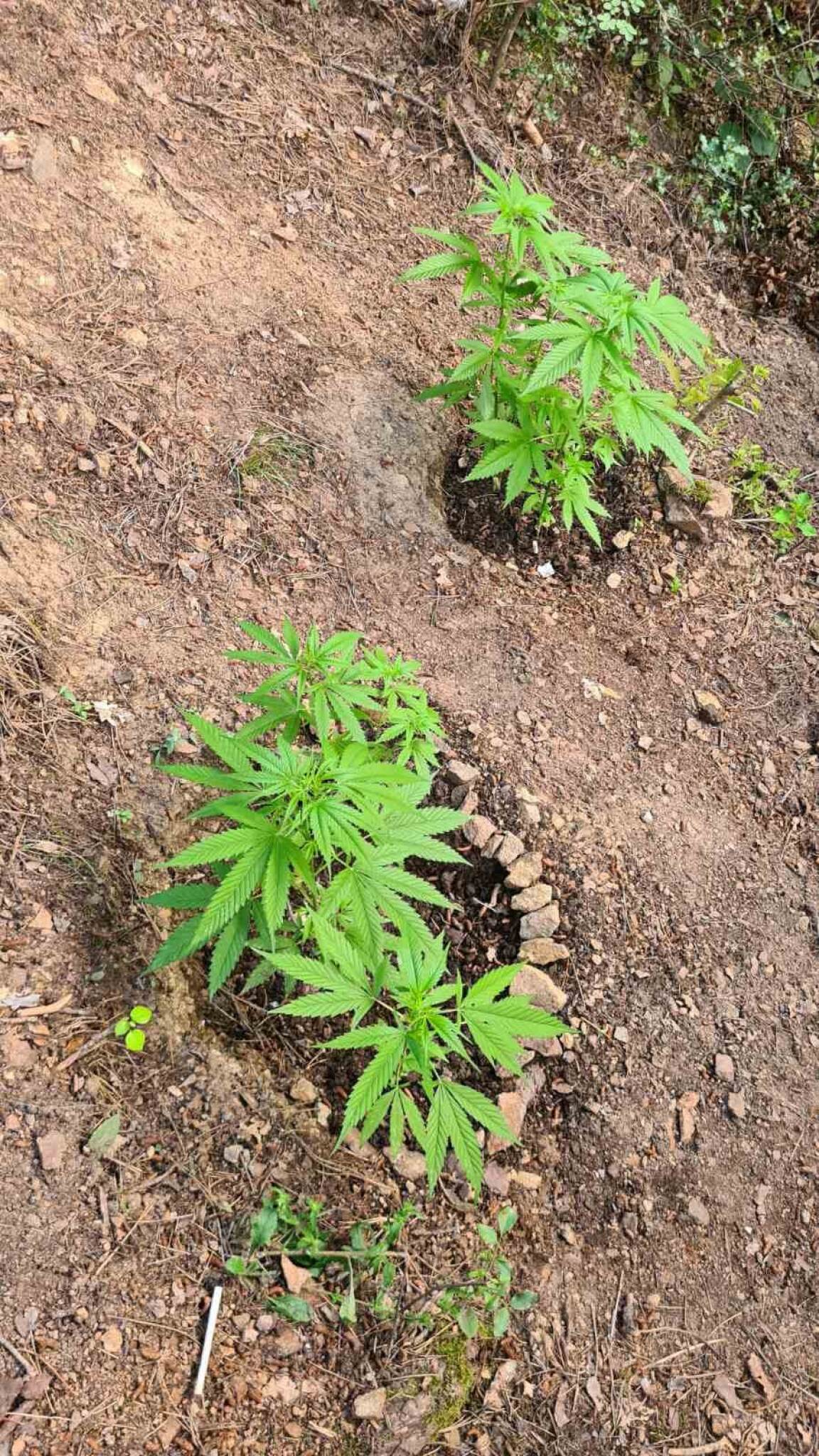 353913144_730462632102726_4815238098919263926_n