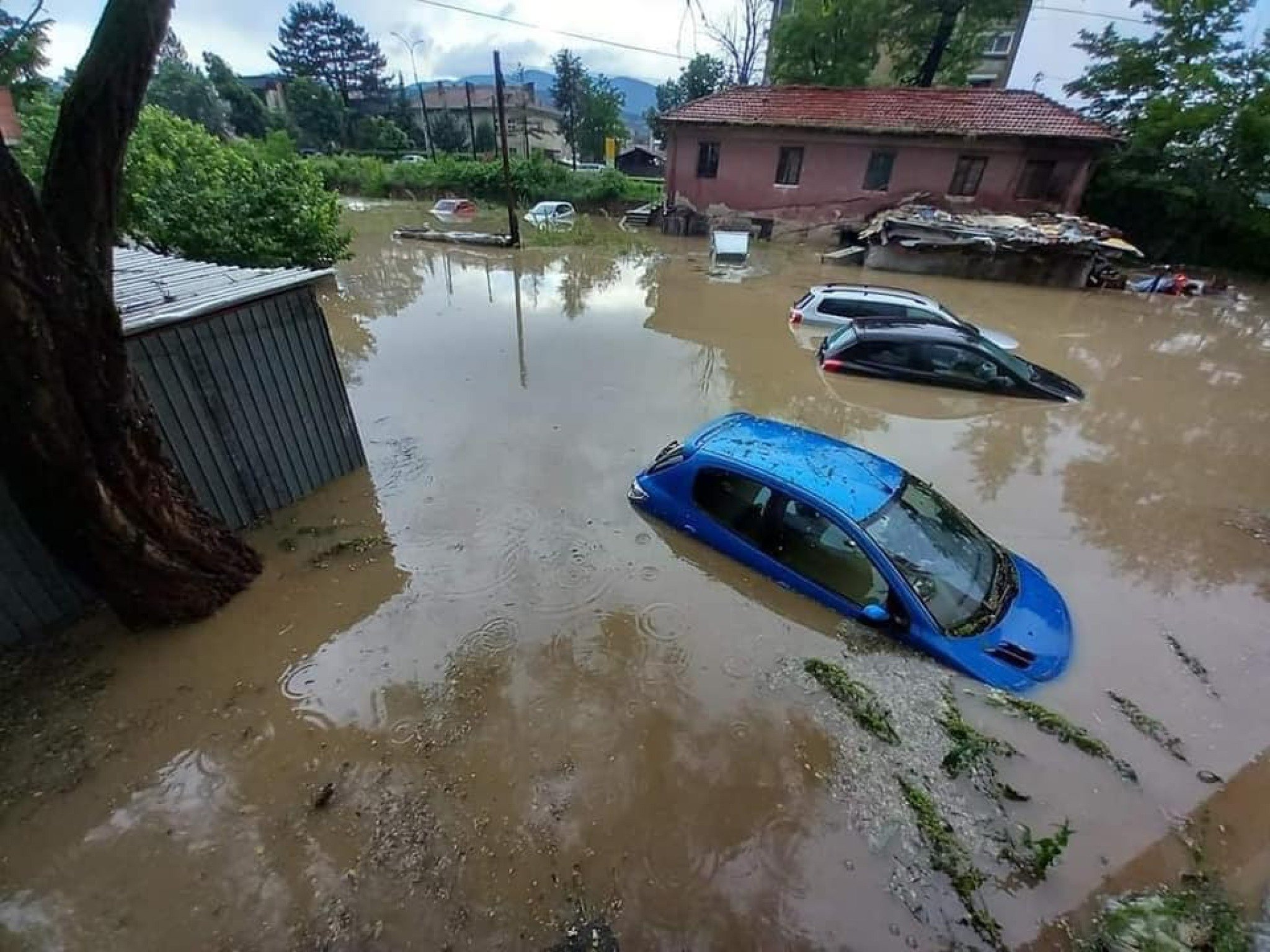 347258215_728401342623248_5325081631920968224_n