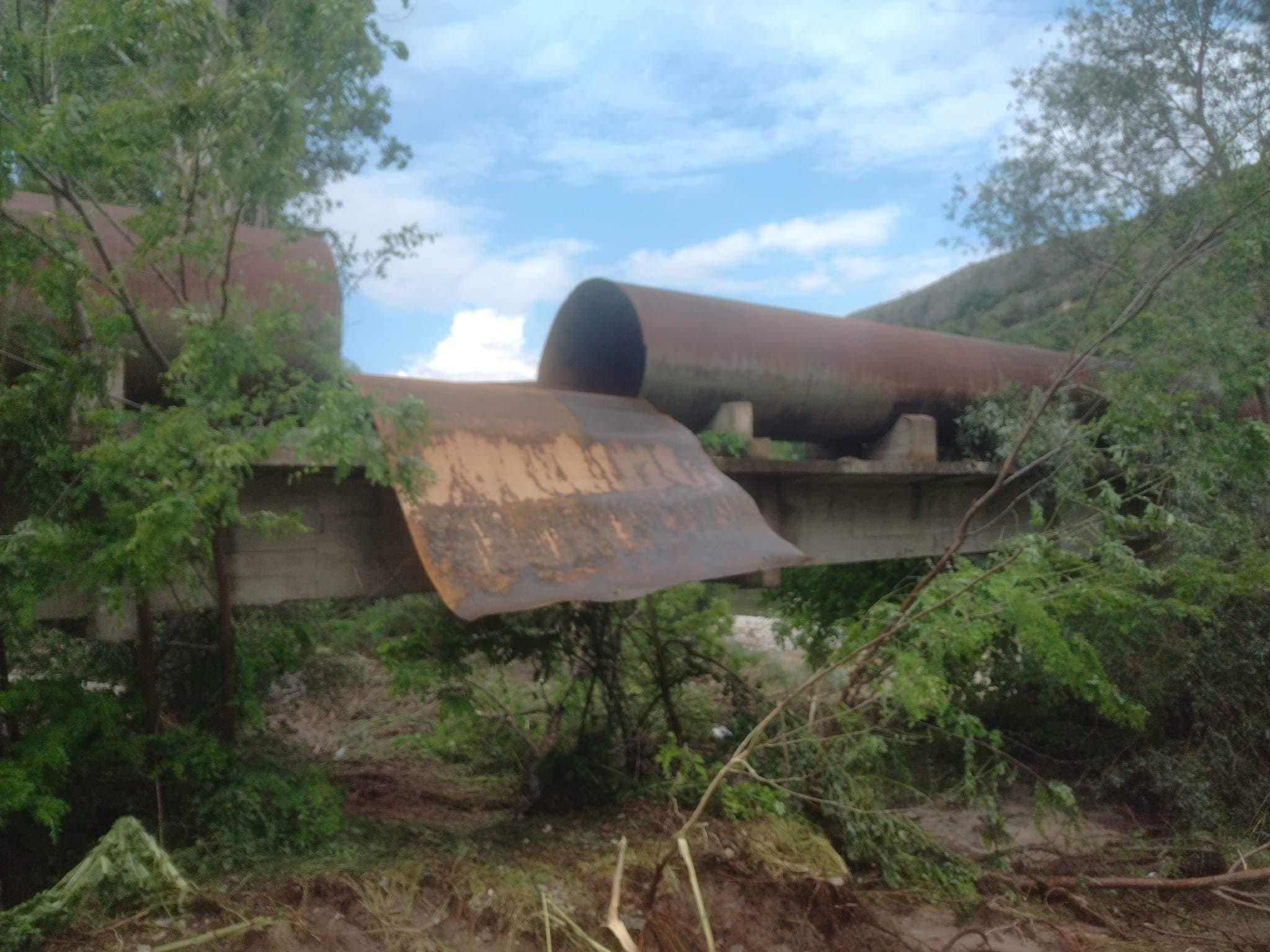 347230818_563884352594067_2523121370829907269_n