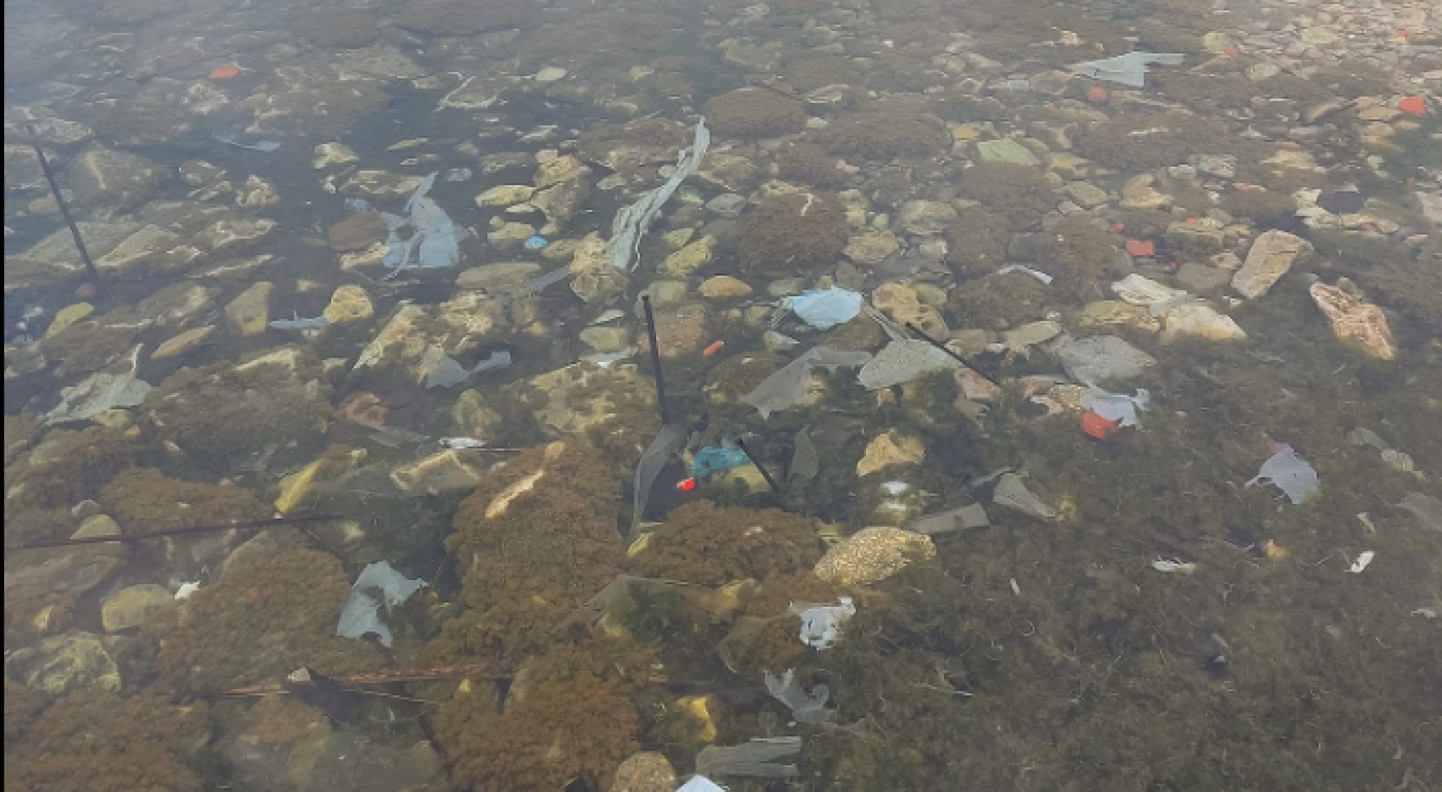 Screenshot-2023-04-22-100322