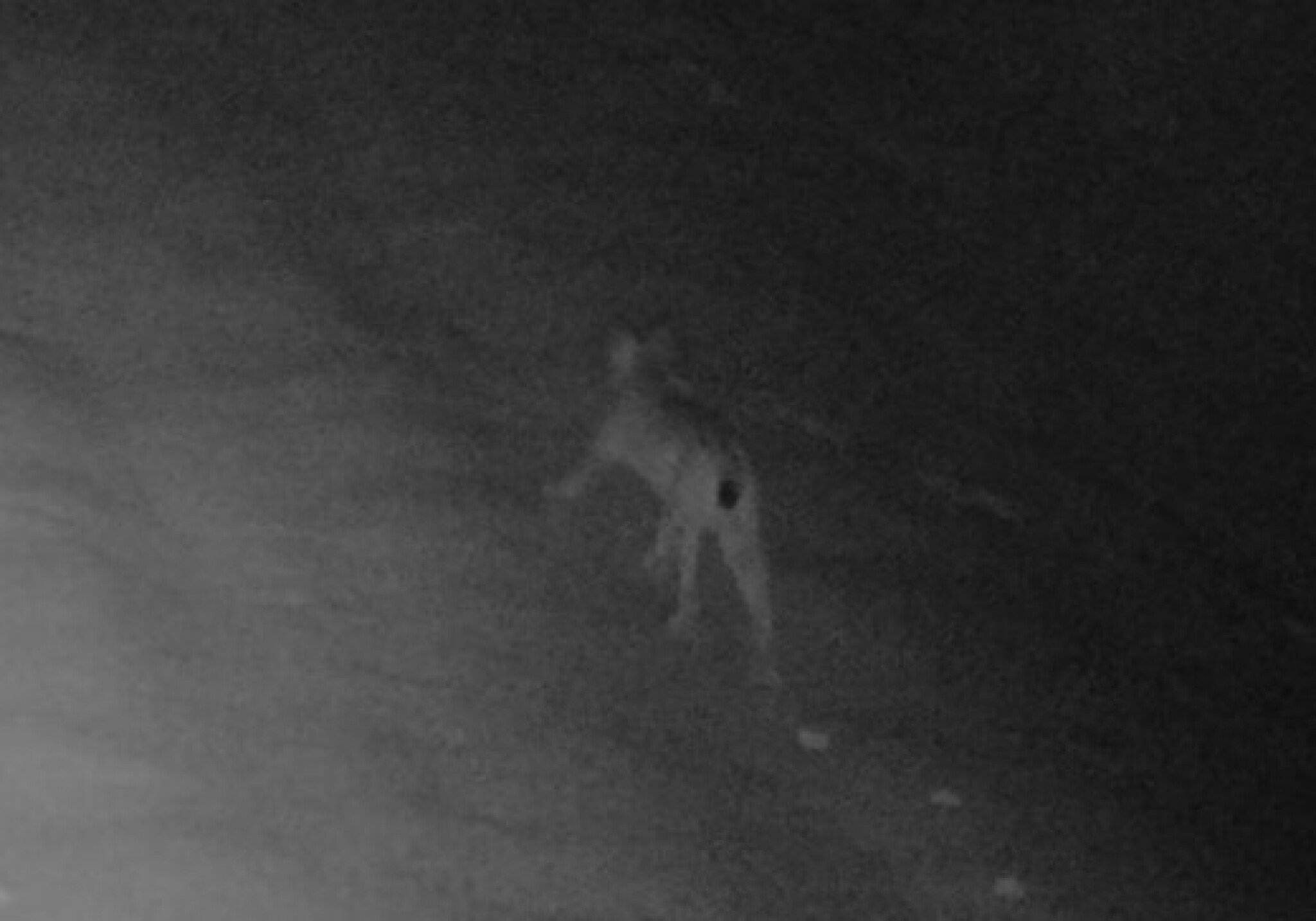 340295628_164439856542496_6343761962822028703_n