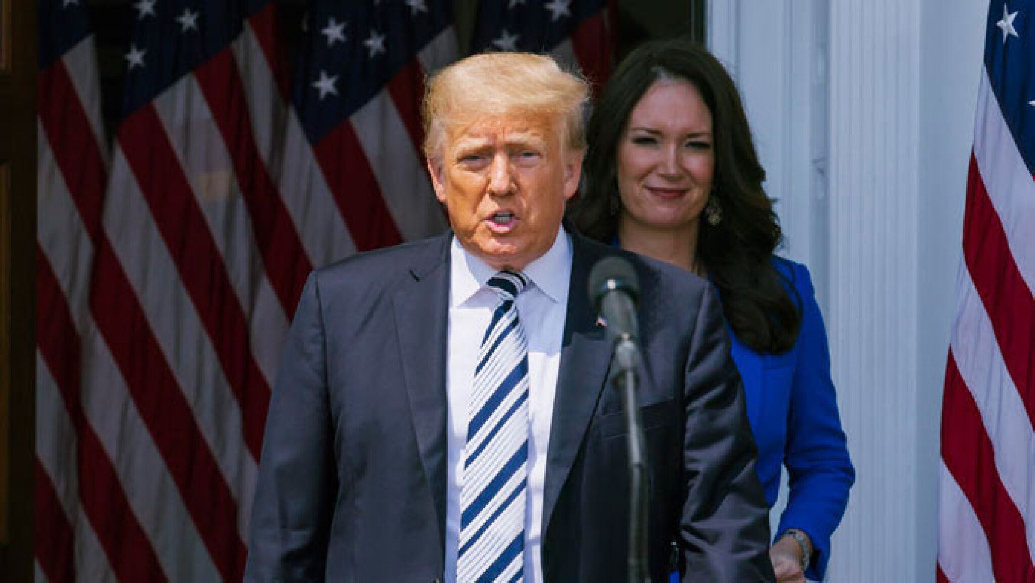 677z381_tramp-donald