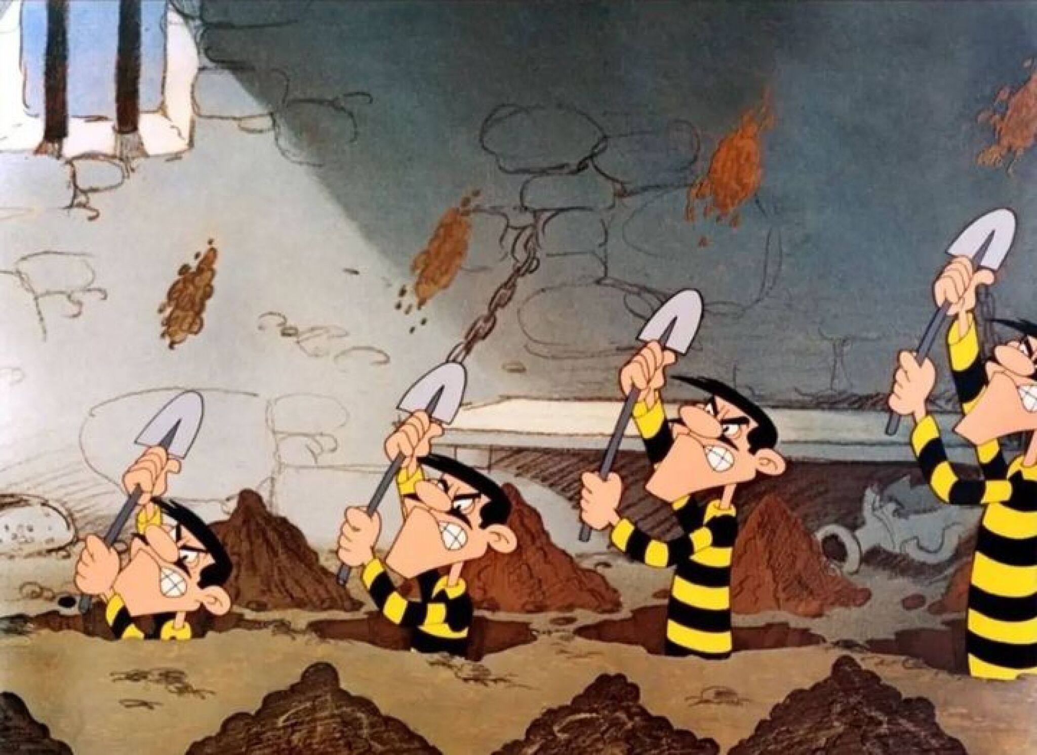 337550676_2428707560611180_8142548772027053810_n