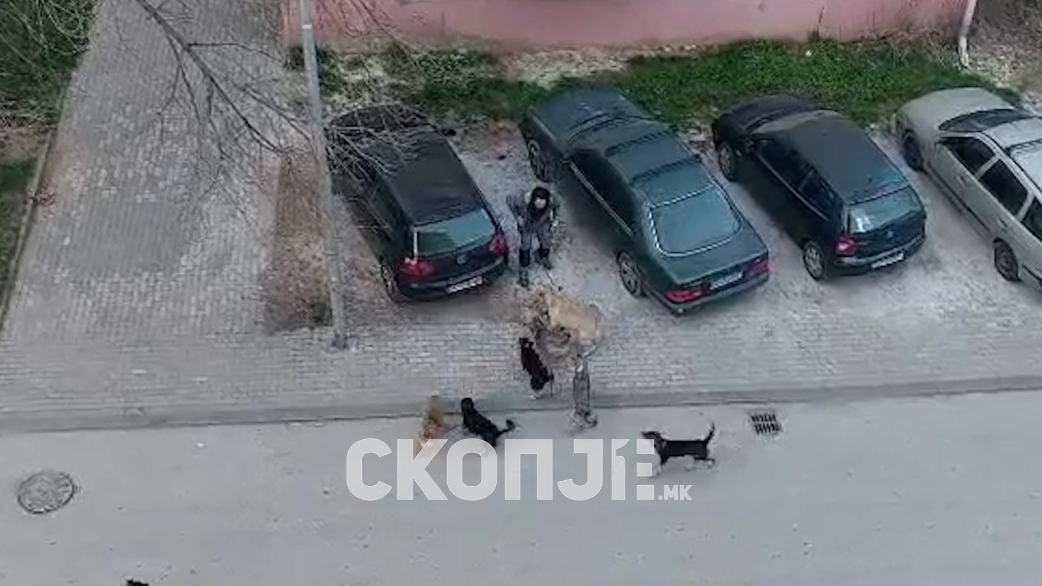 DJI_0486.00_00_58_16.Still002