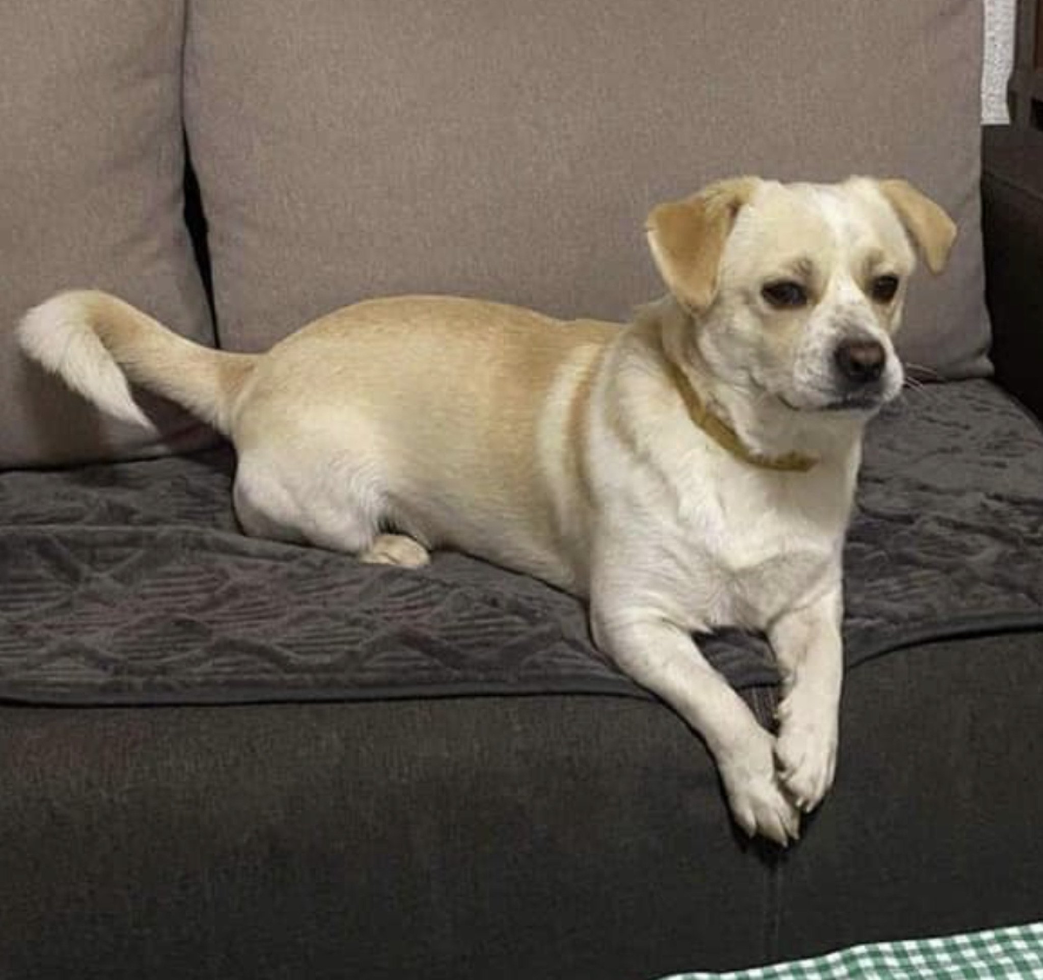 Screenshot-2023-01-30-at-11.16.50