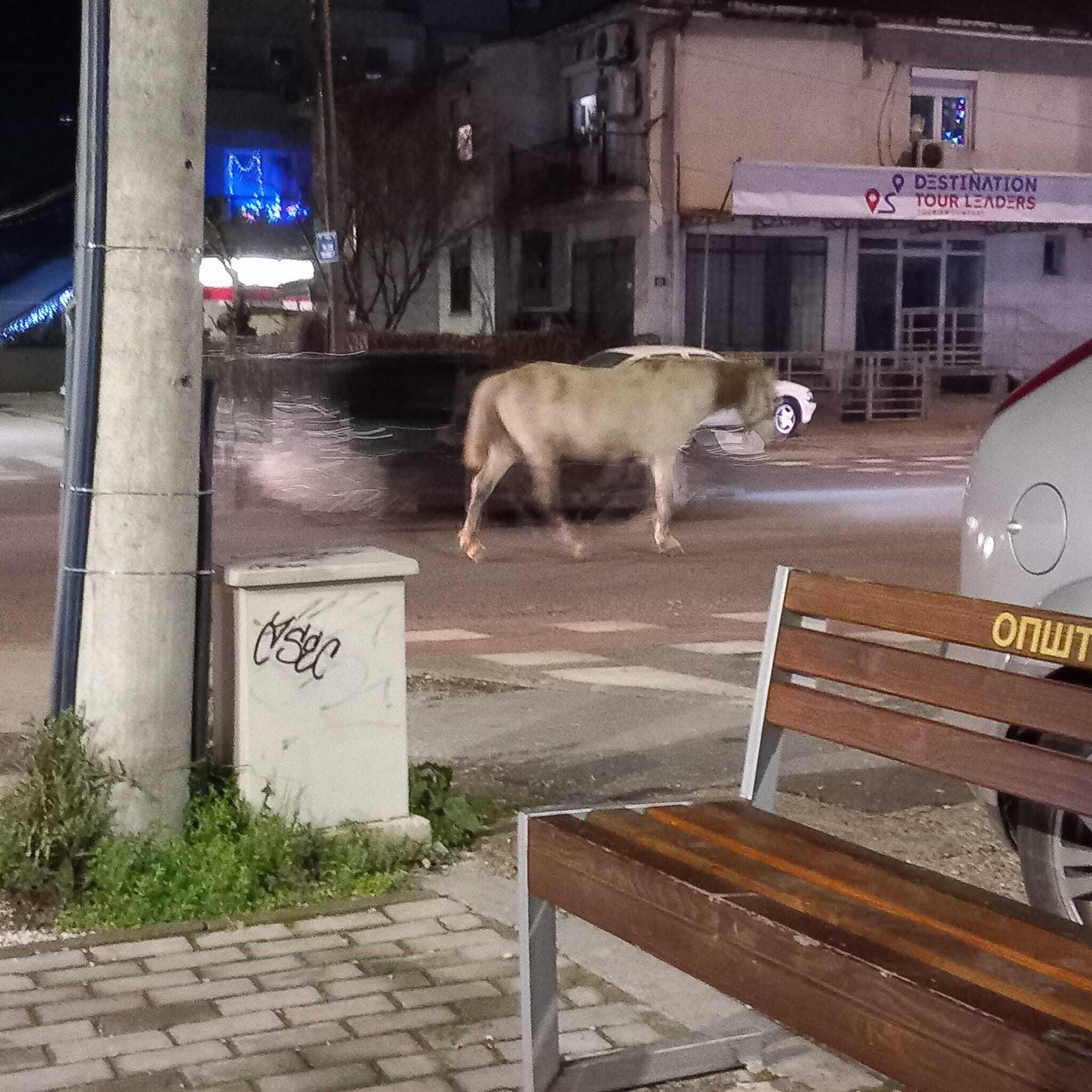 326205449_917604982586525_2049675277135806128_n