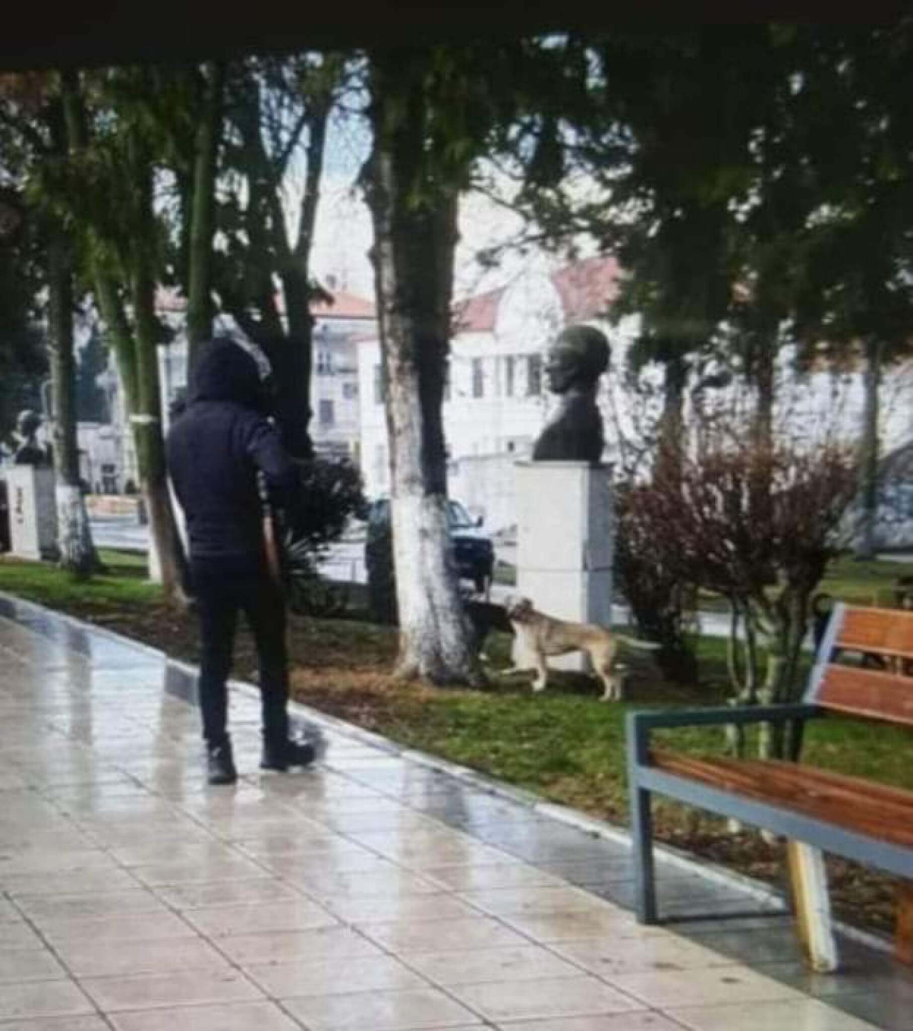 322590147_3439089933035863_4064493951068976830_n