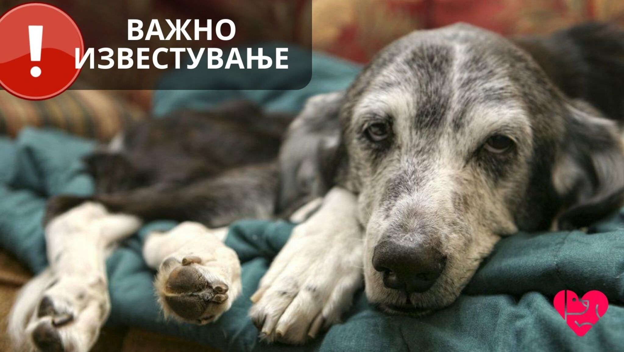 321395609_407892374825757_3831575772104590212_n