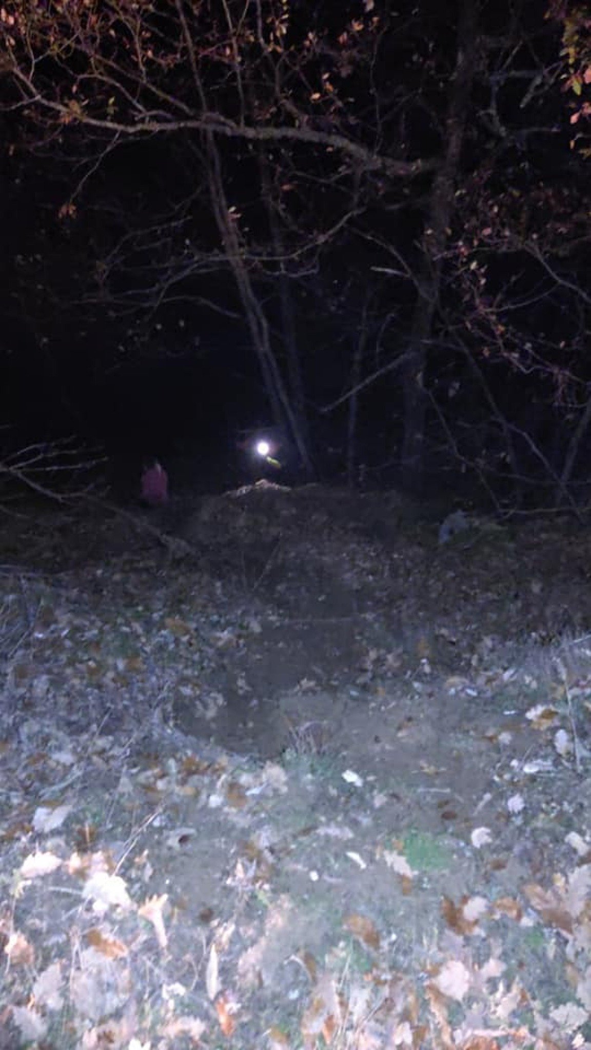 314370224_432282562425047_6940910152438828192_n