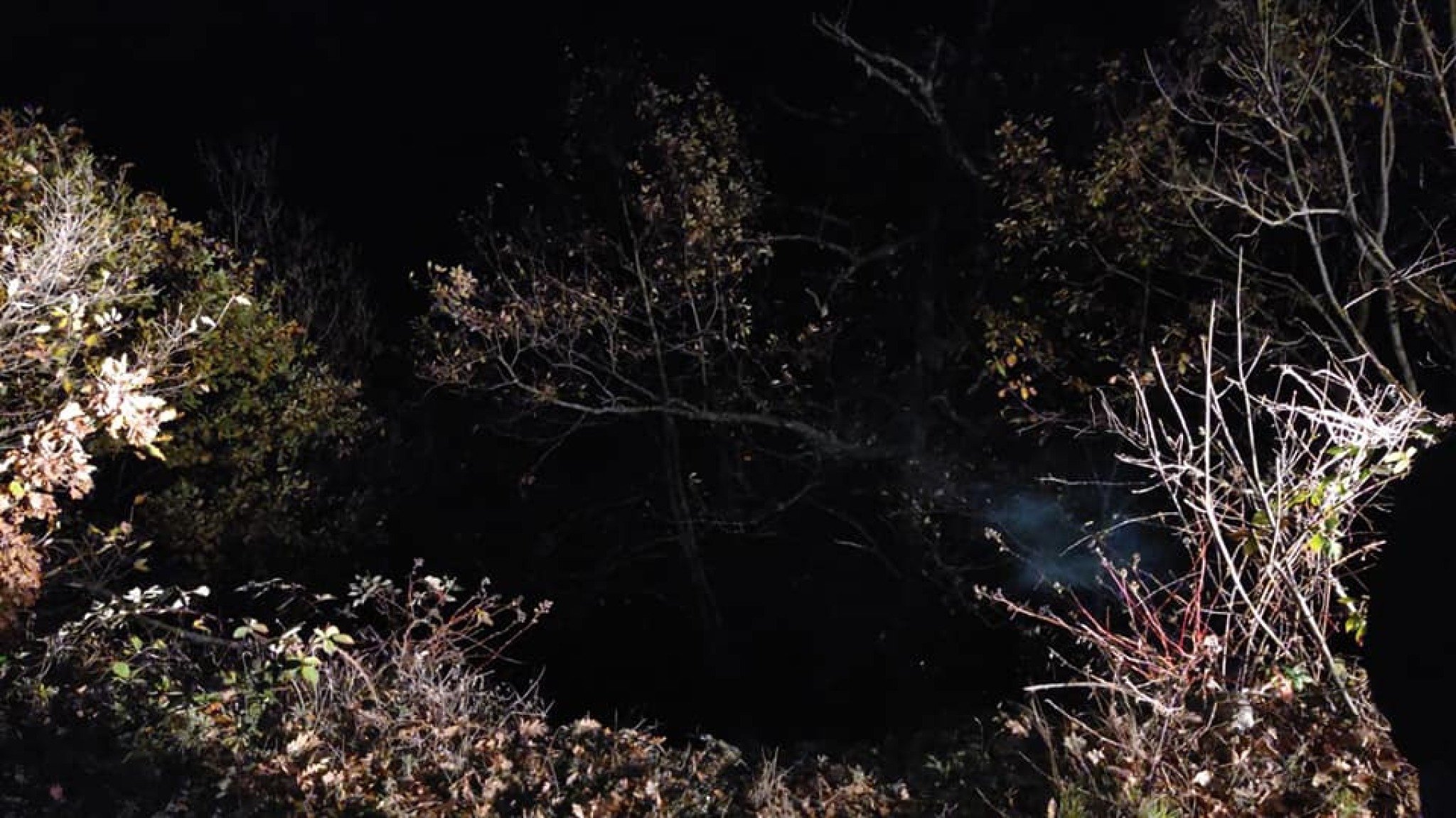 313413517_432282615758375_369301945601083872_n