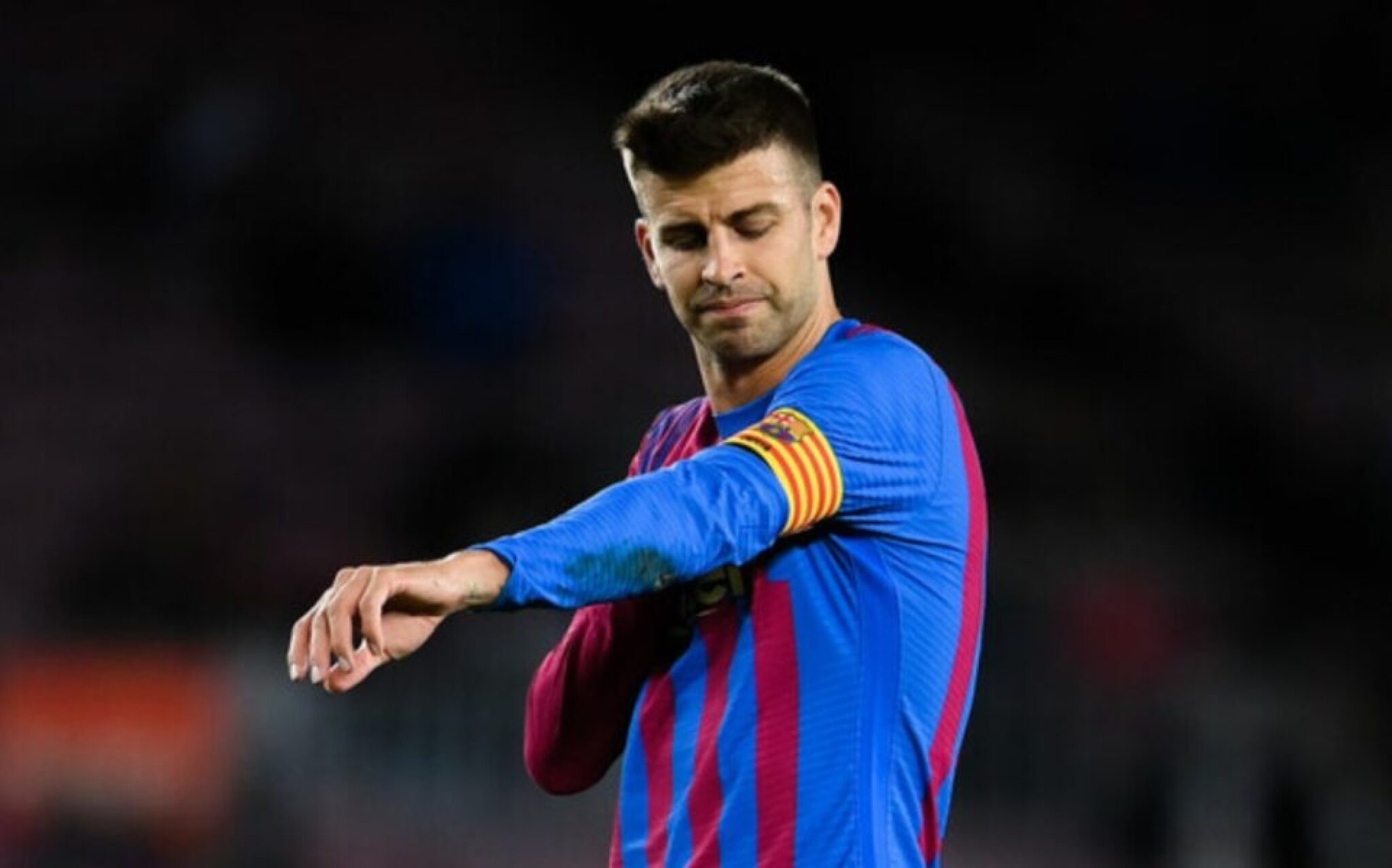 pike-barsa-3-960x599-1