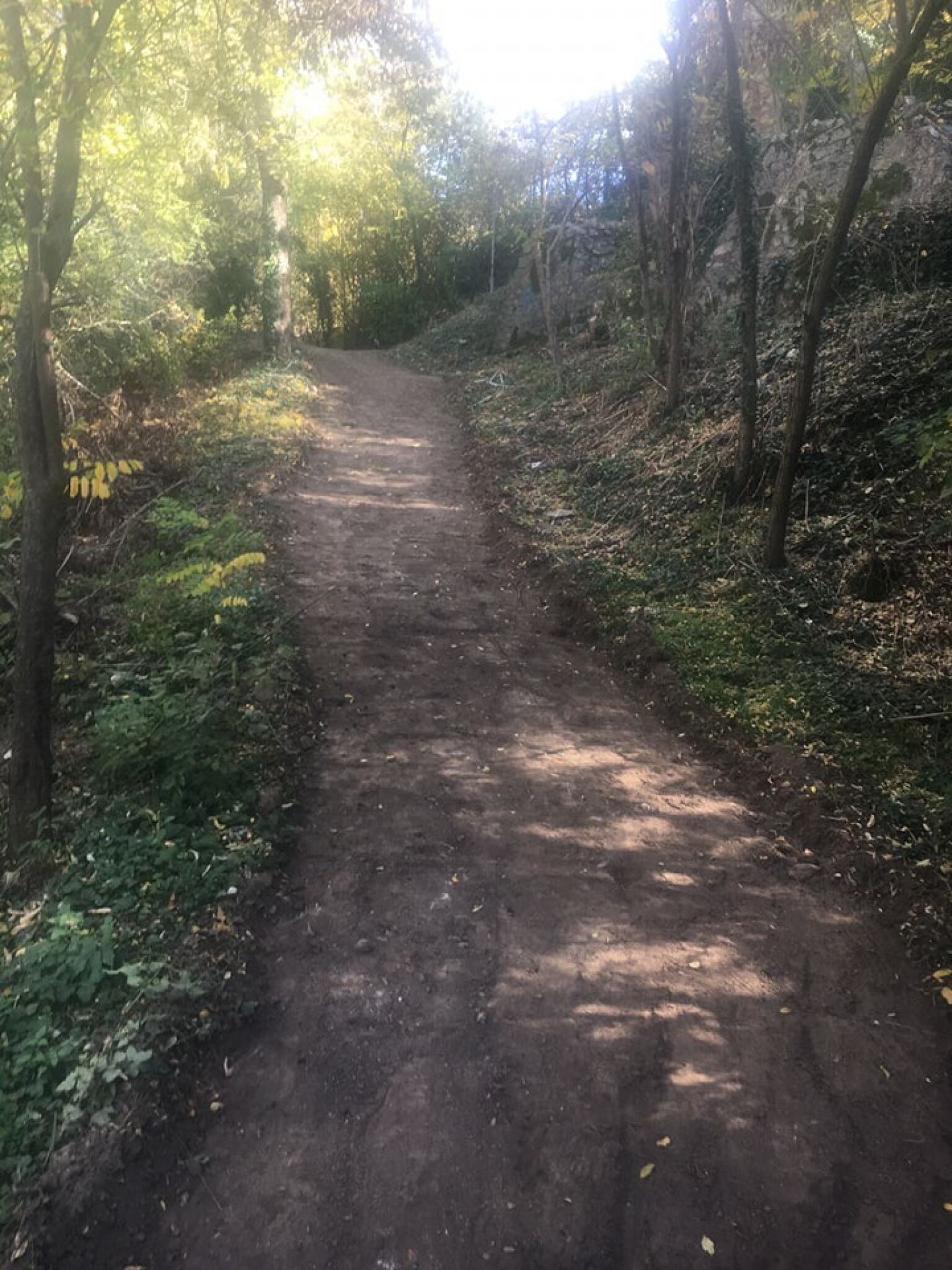 312625283_552470880226264_3371093888219061291_n