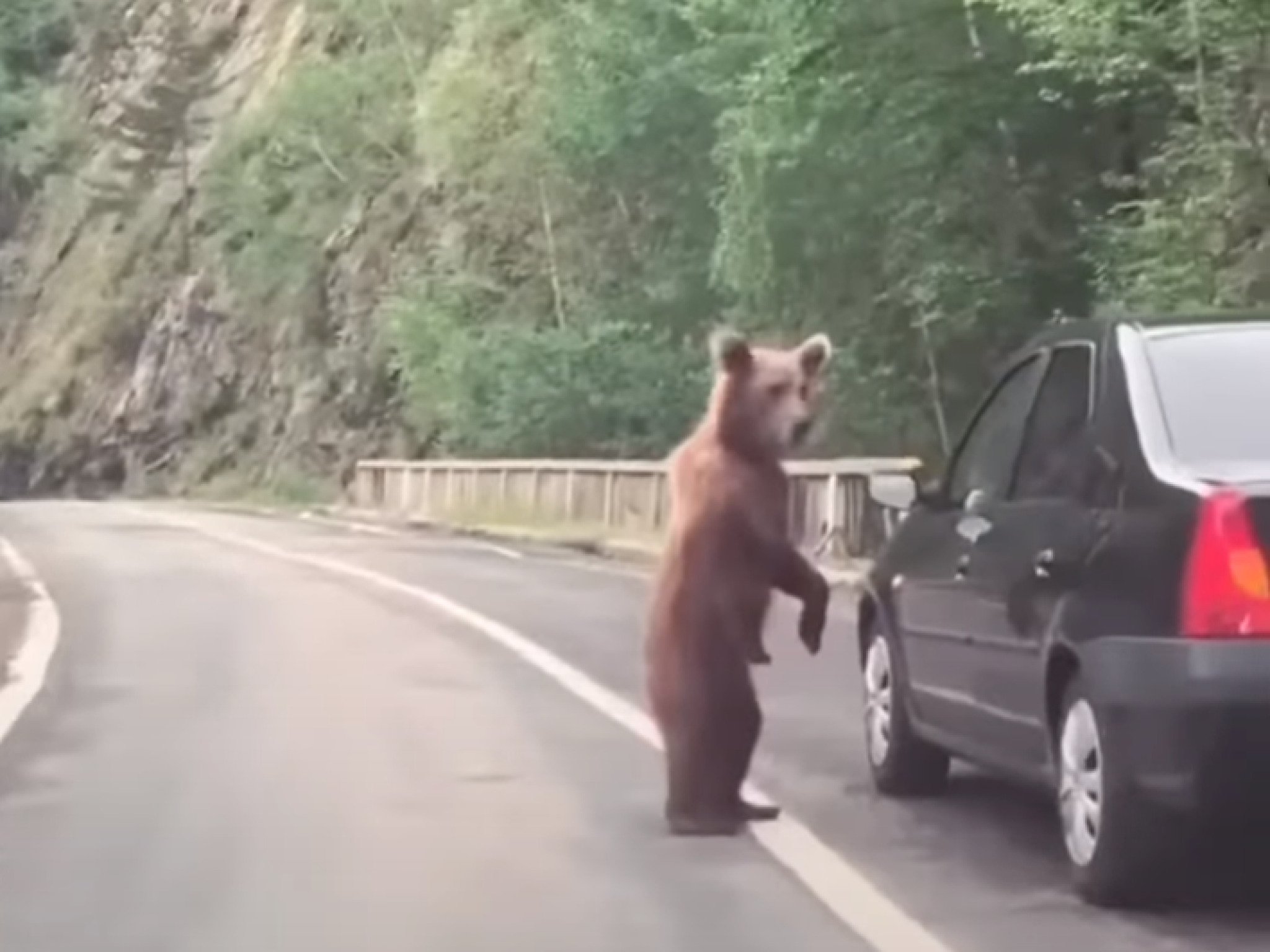 Screenshot-2022-09-19-090600