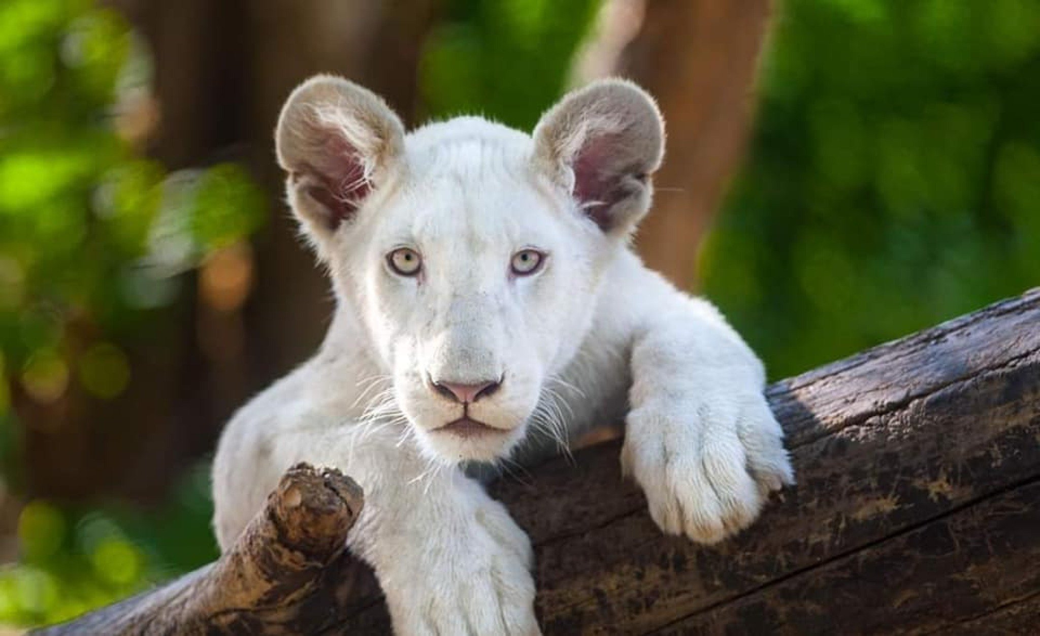 304771595_2287003008116949_613315655310819987_n