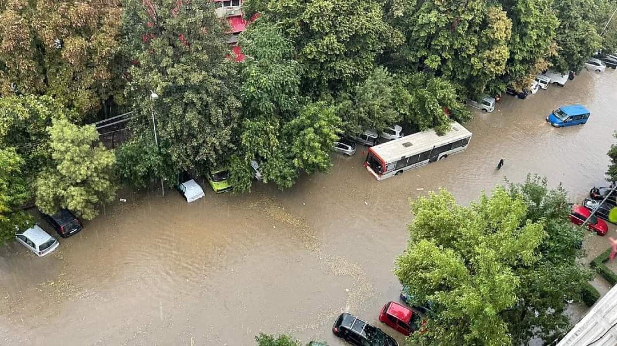 302133733_628809561943873_3326994940708227448_n-1