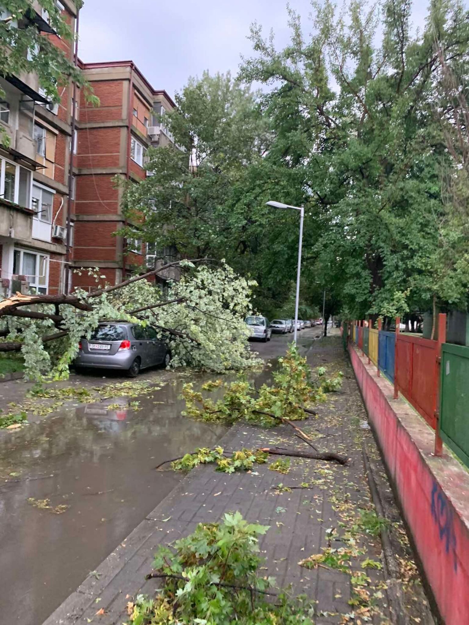 301960581_496528359144916_7994987633665035748_n