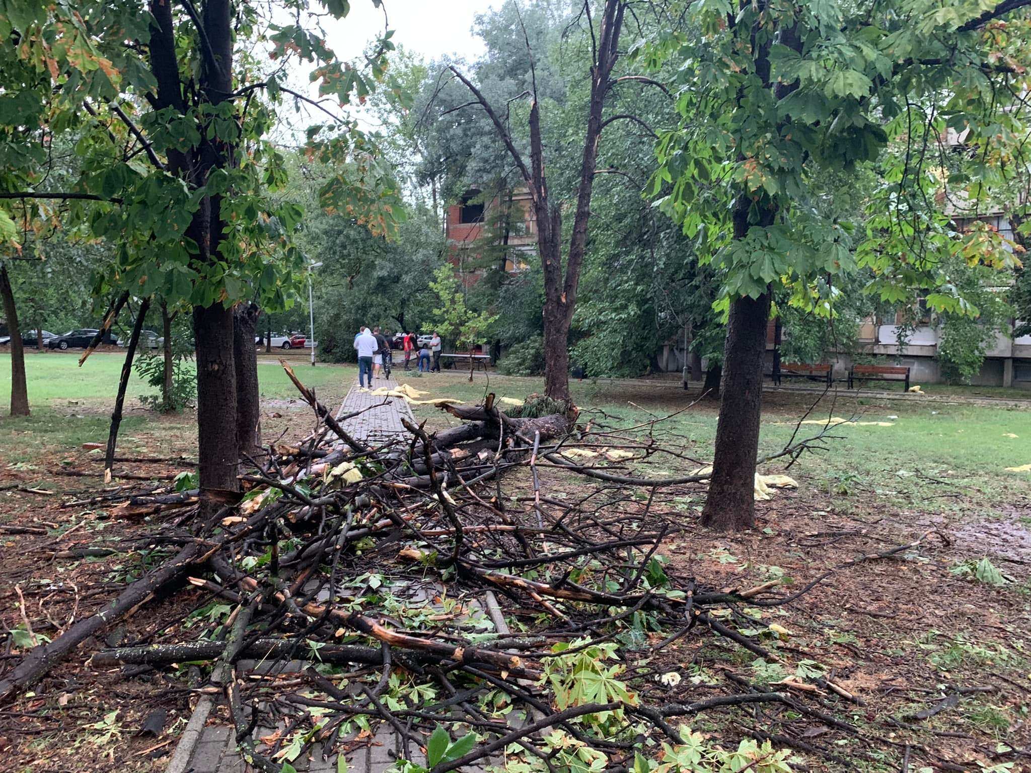 302503037_5821127204588001_9100842361678874844_n