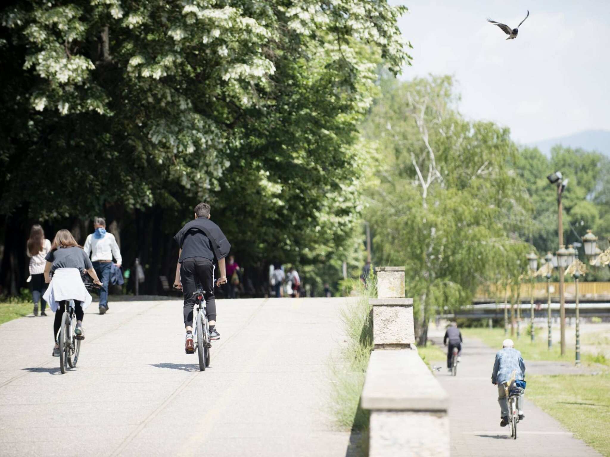 300906766_5554581604588006_2137906982980117008_n