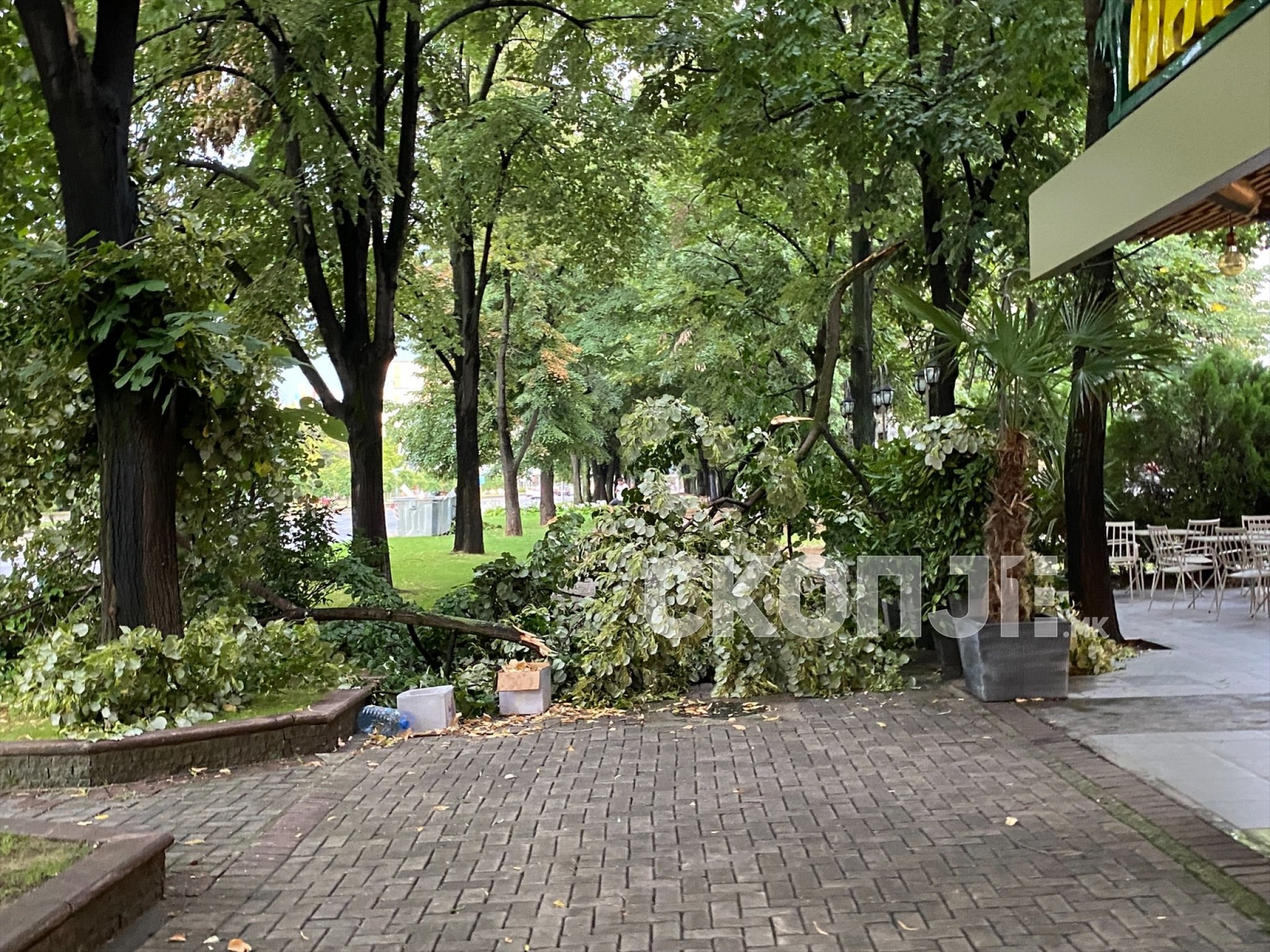 0394F1D7-0FF8-4E81-BB36-671698CD60AE