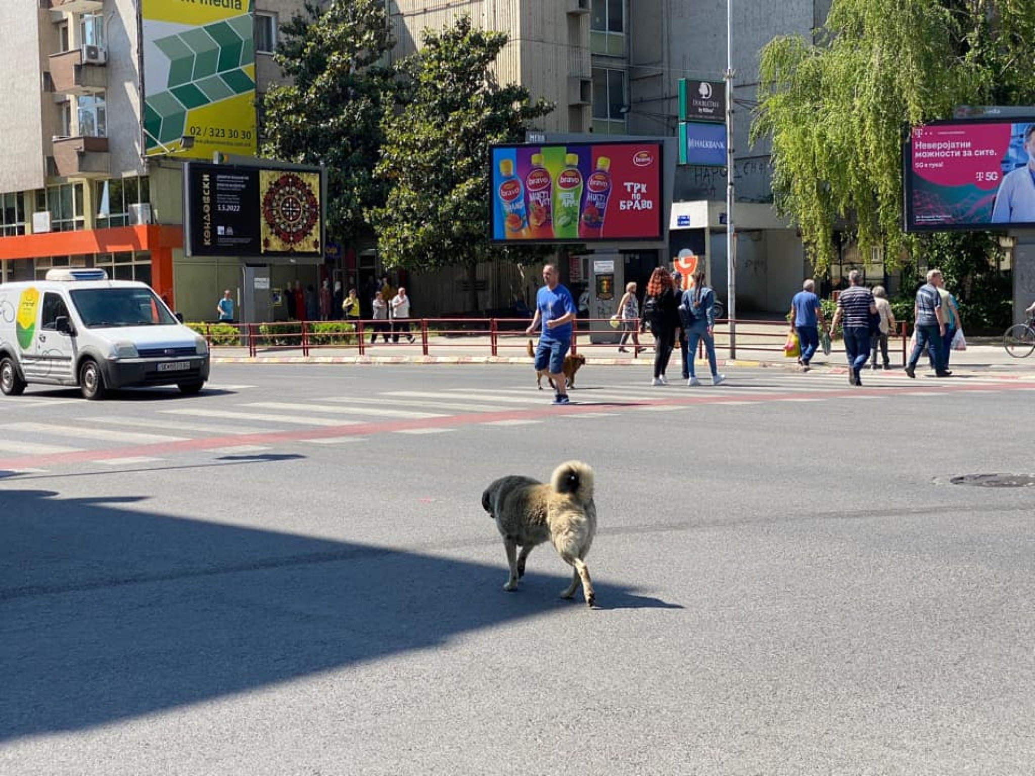 299183597_5224475090996212_8836922978411916676_n