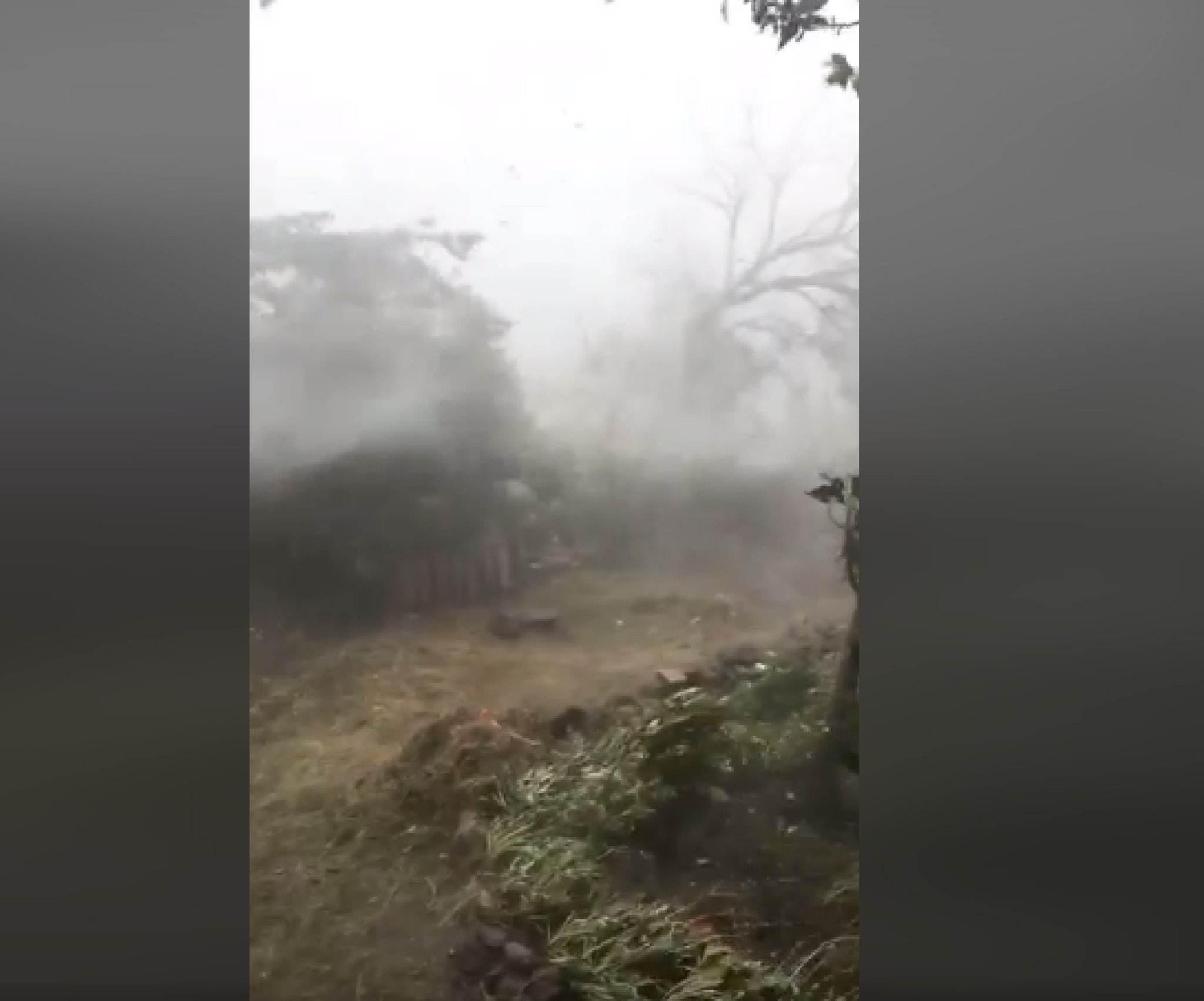 Screenshot-2022-08-16-194018