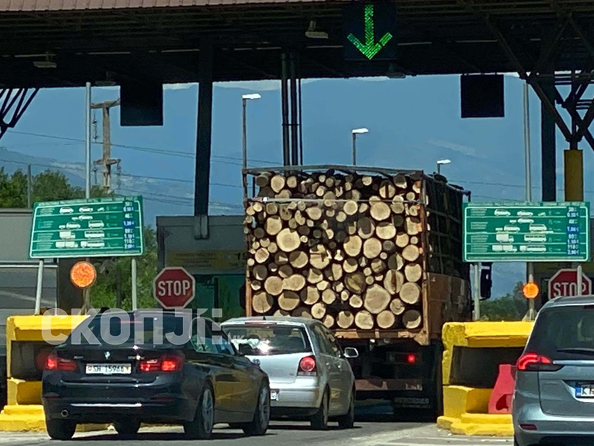 292782990_437177755127439_1412855896591445171_n