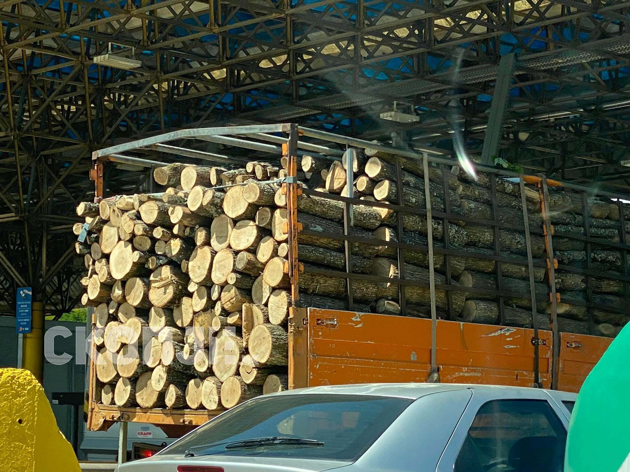 295750930_581384890106970_3403187720919250822_n