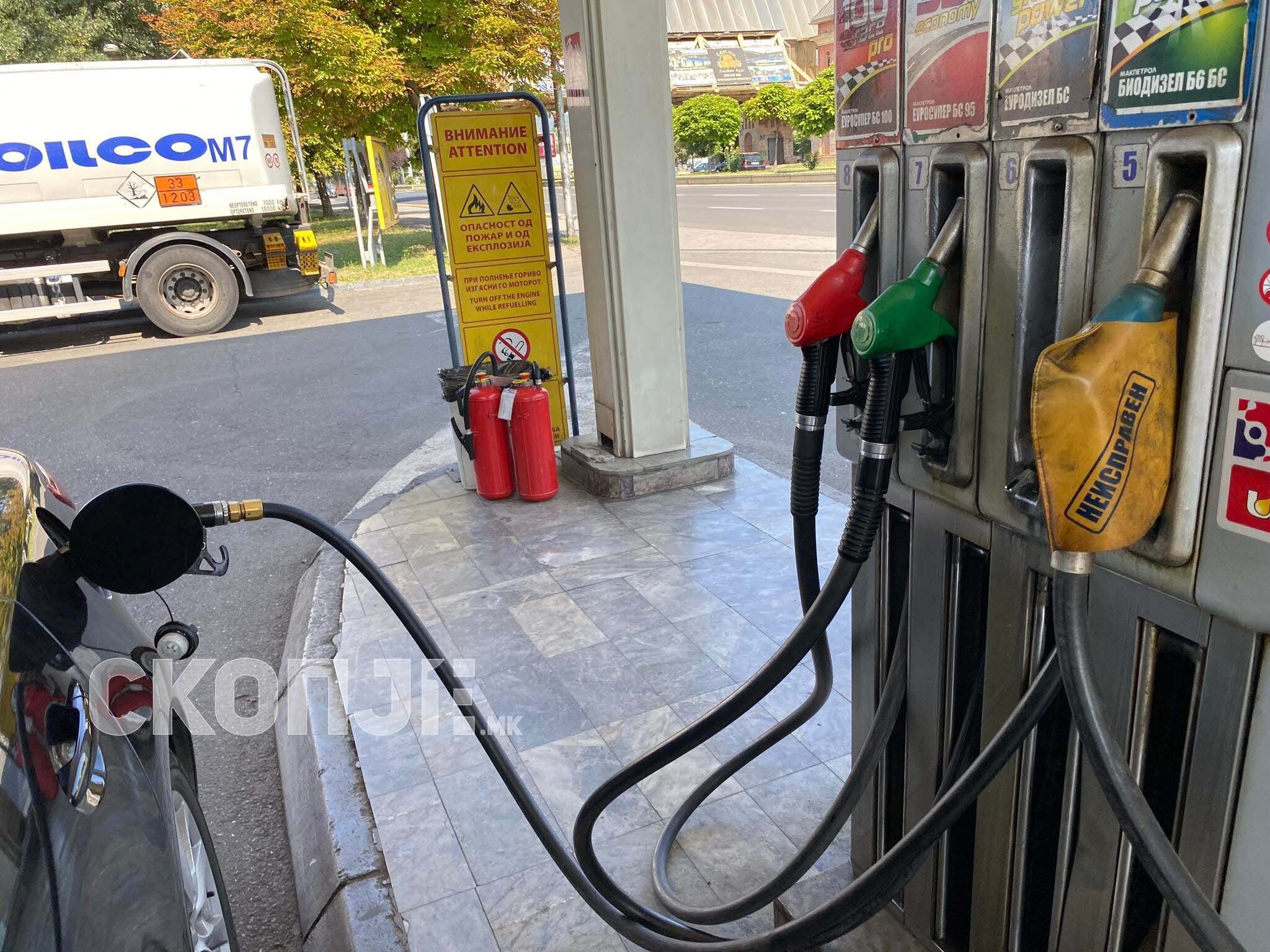 295526049_1046824489536443_4715120062988649436_n