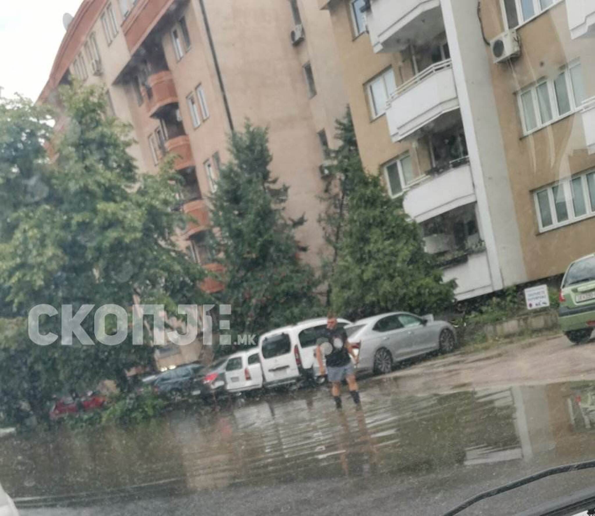 0-02-05-d890a8df63a91d93e32cefa0d9f01252ec261455a01b0bd04c9d64d436762346_26e75acbece