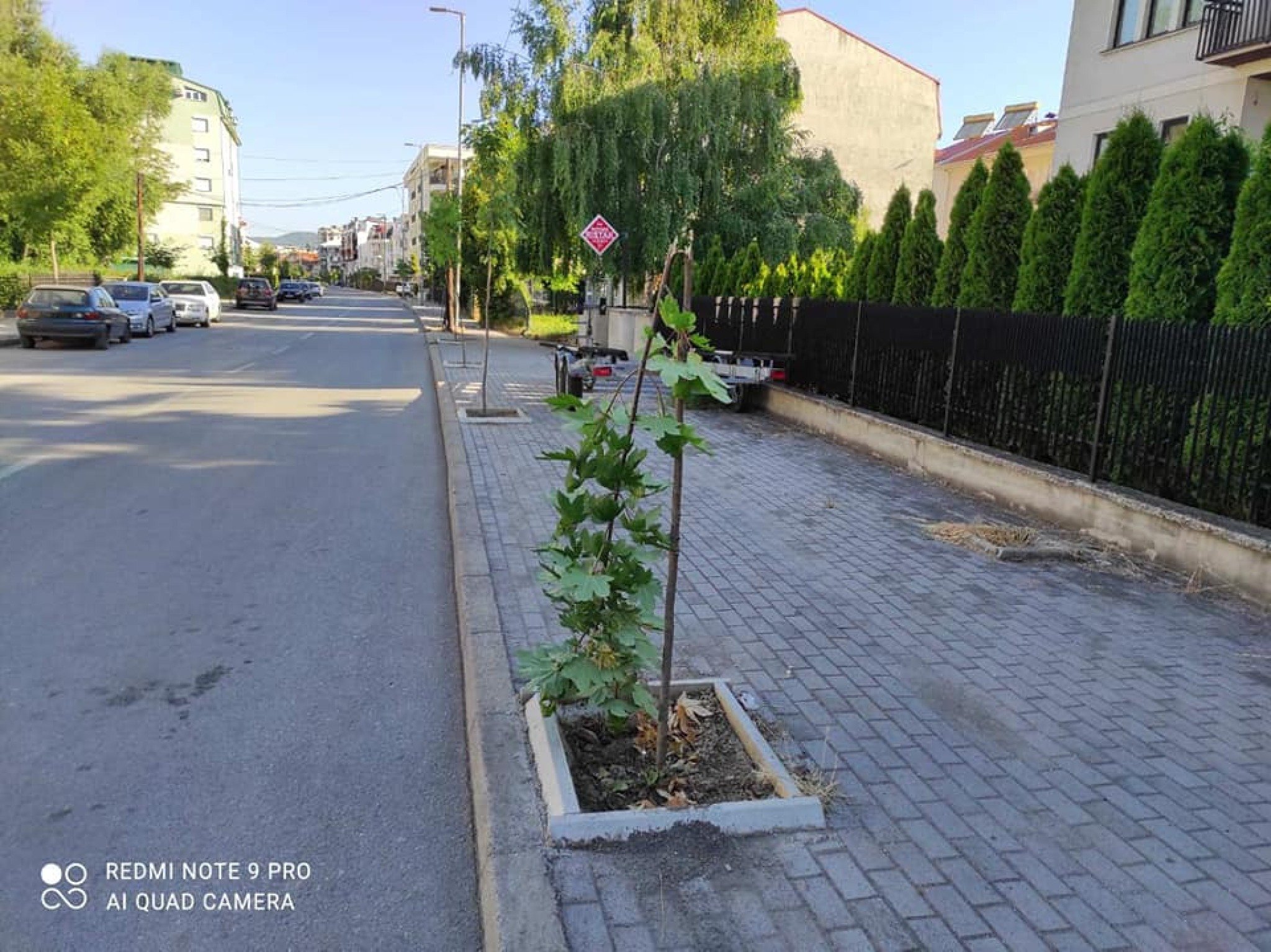 290731948_485129093414919_8547450882729584784_n