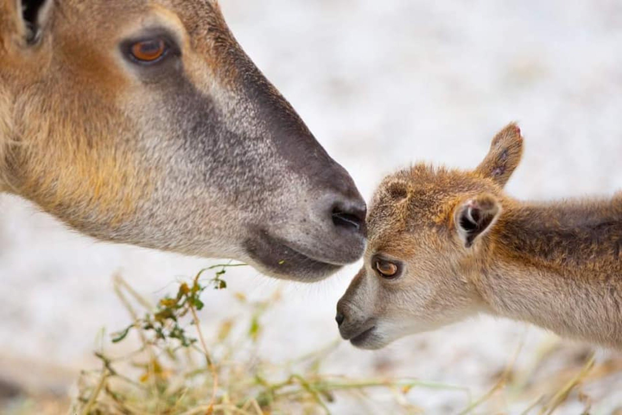 286082260_2221599537990630_3504937168655663841_n