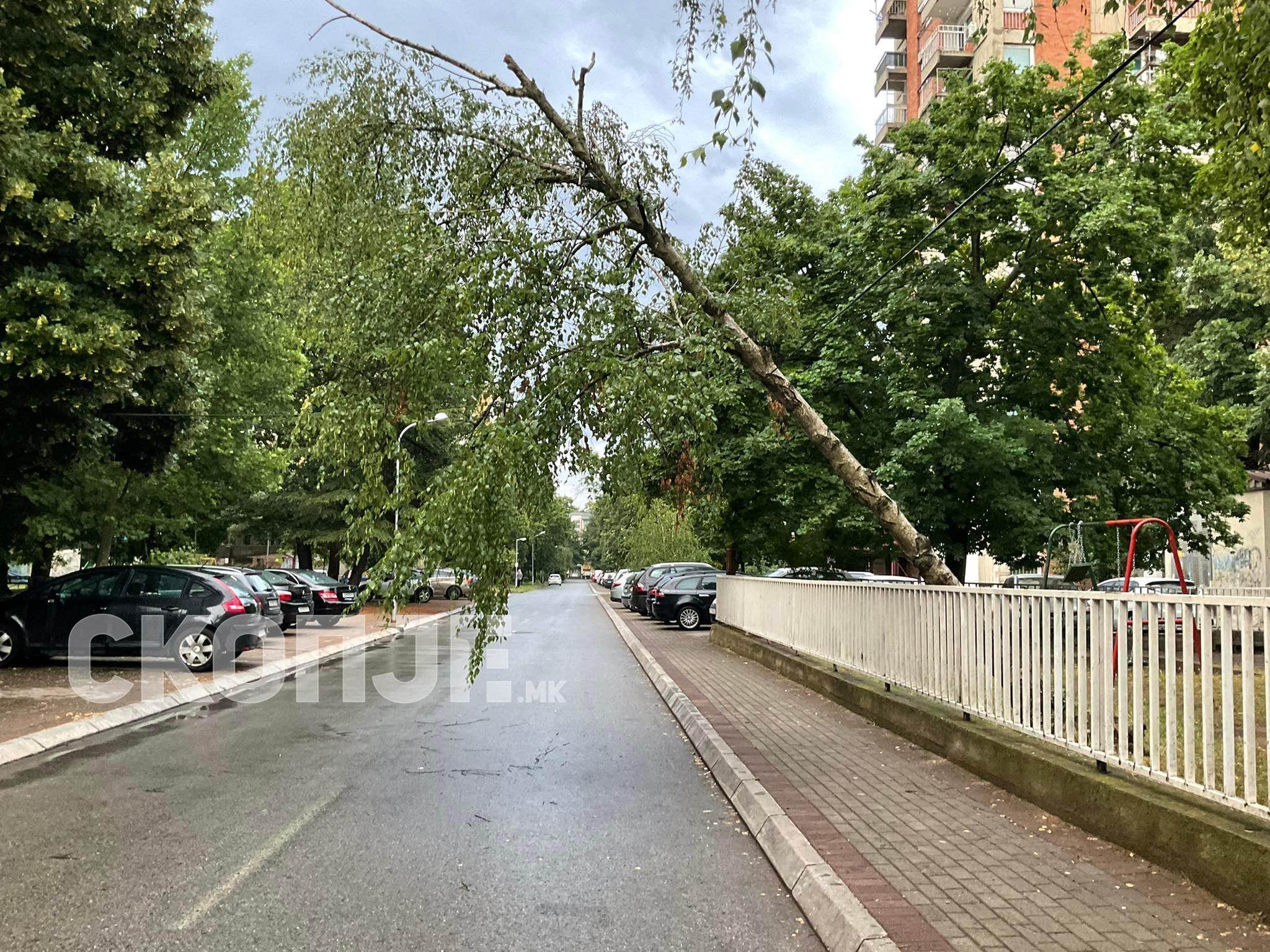 282186852_1733693323648496_7589086790147437995_n