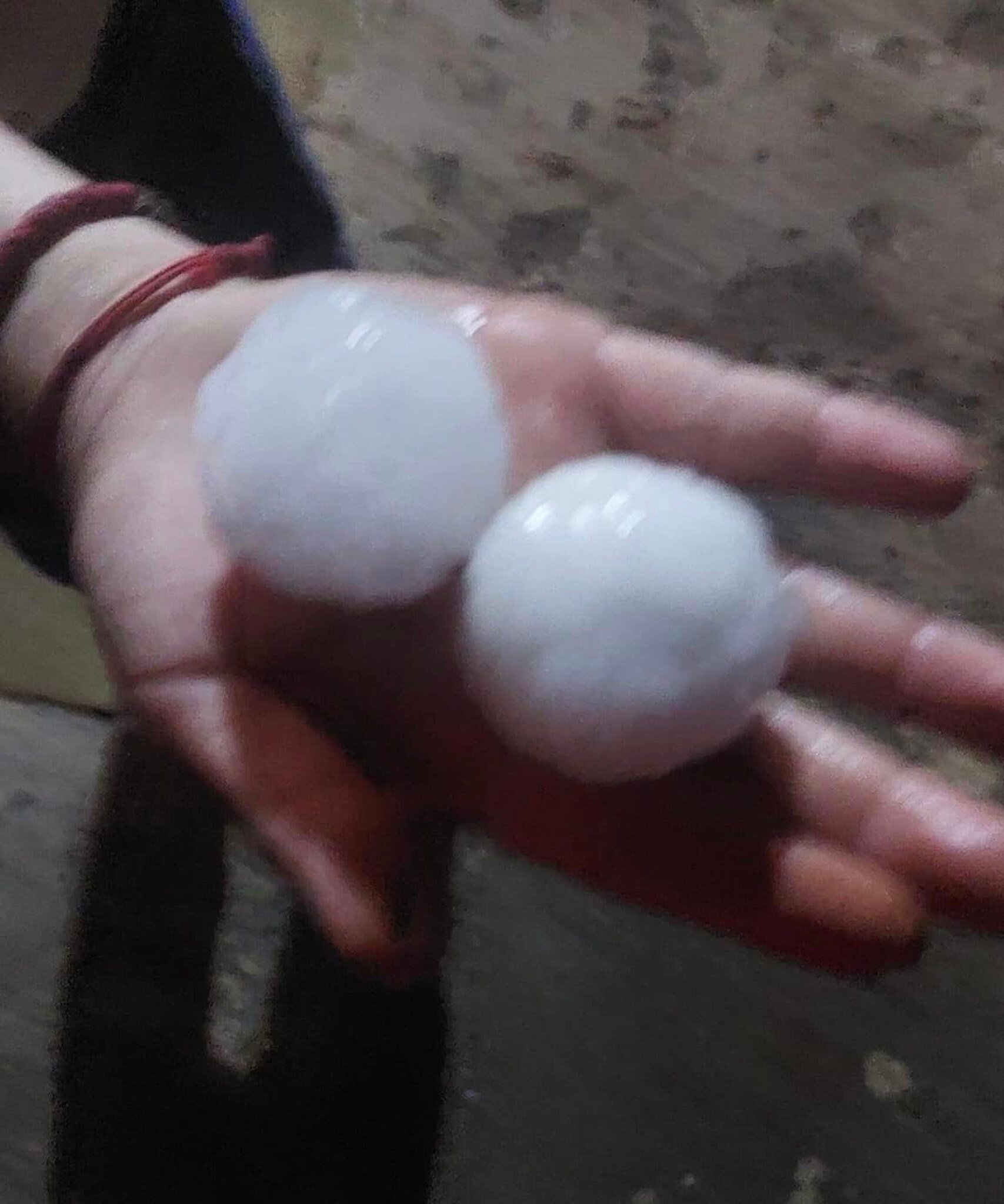 281875672_5029558543760594_6336580873443269016_n