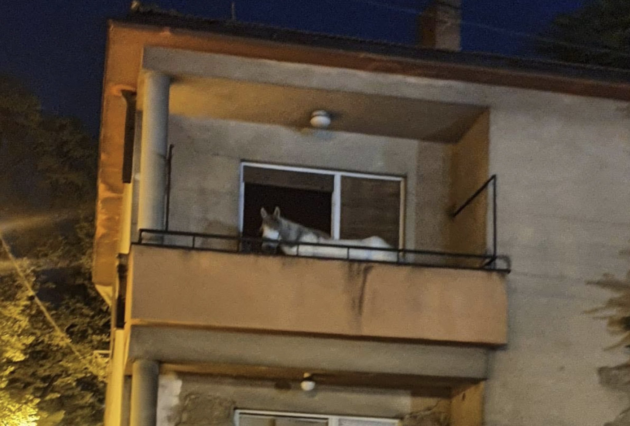 Screenshot-2022-05-23-at-10.36.12